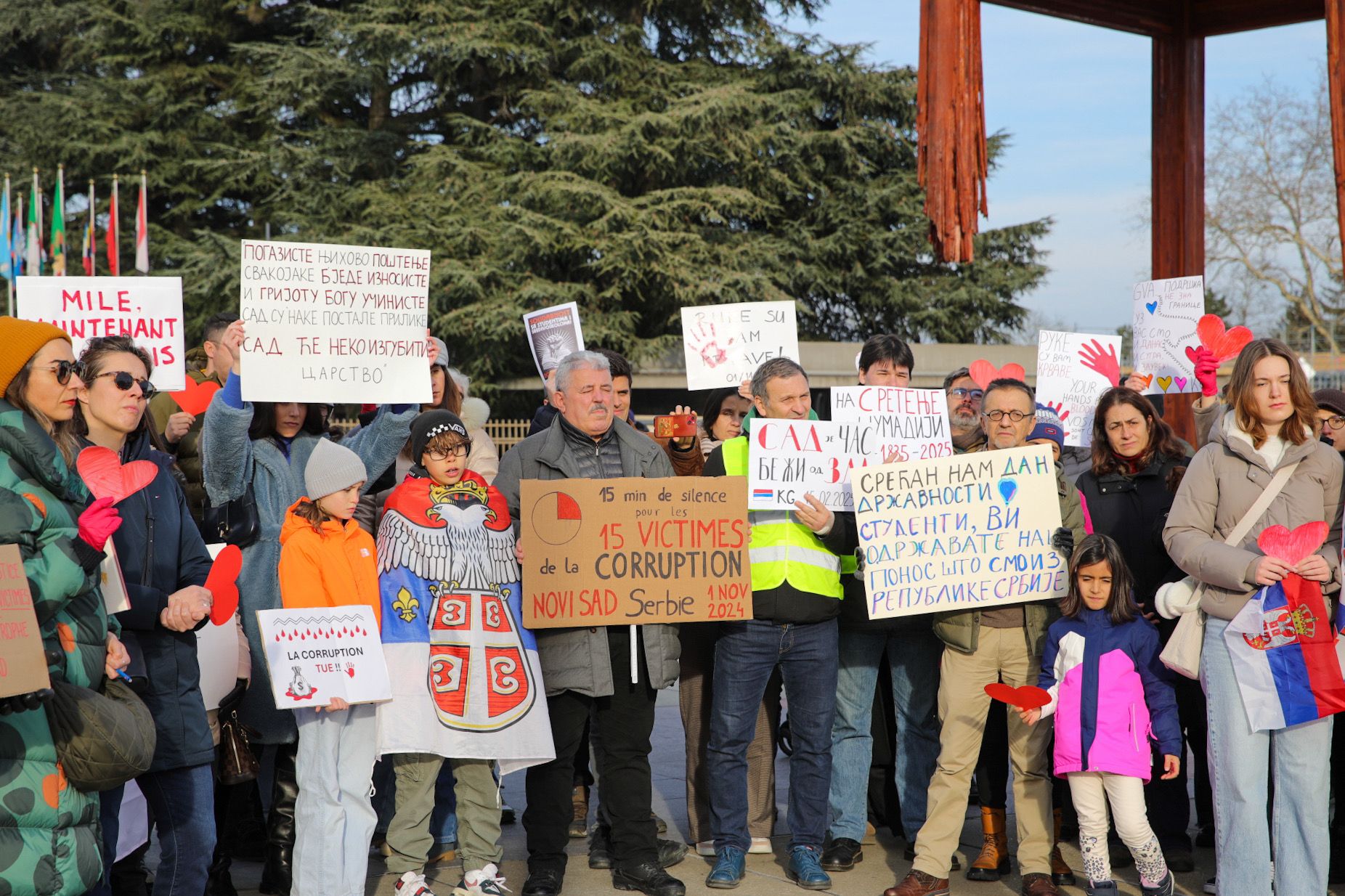 WhatsApp Image 2025-02-15 at 18.49.58