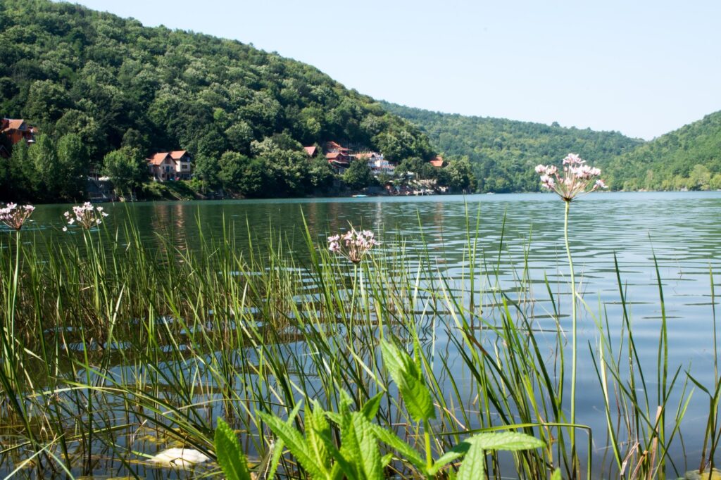 Shot of Bovan lake near Sokobanja spa on a sunny day,Image: 319201458, License: Rights-managed, Restrictions: , Model Release: no, Credit line: Zoonar GmbH / Alamy / Alamy / Profimedia