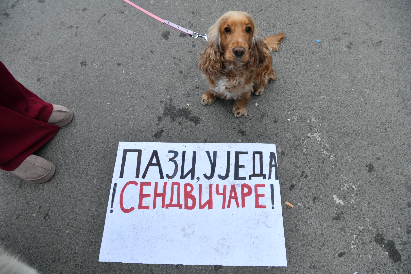 niš 1.3.2025 studentski protest