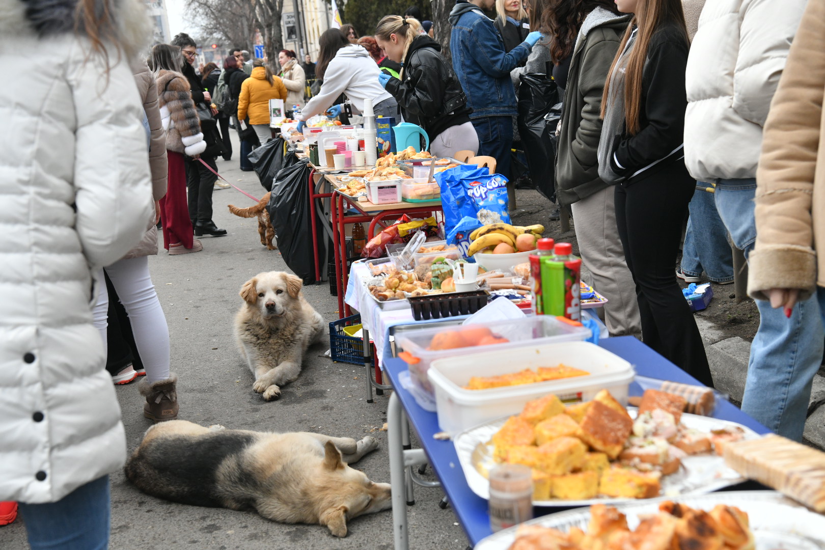 niš 1.3.2025 studentski protest