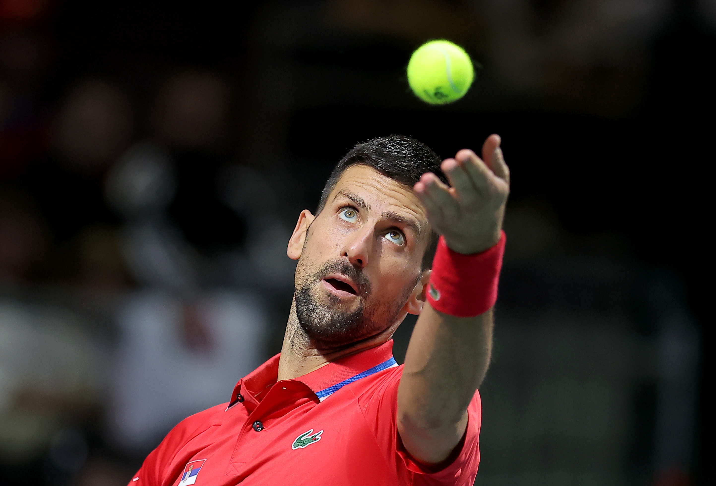 Srbija - Grcka Davis Cup Novak Djokovic
 11.9.2024.  photo: Pedja Milosavljevic/STARSPORT