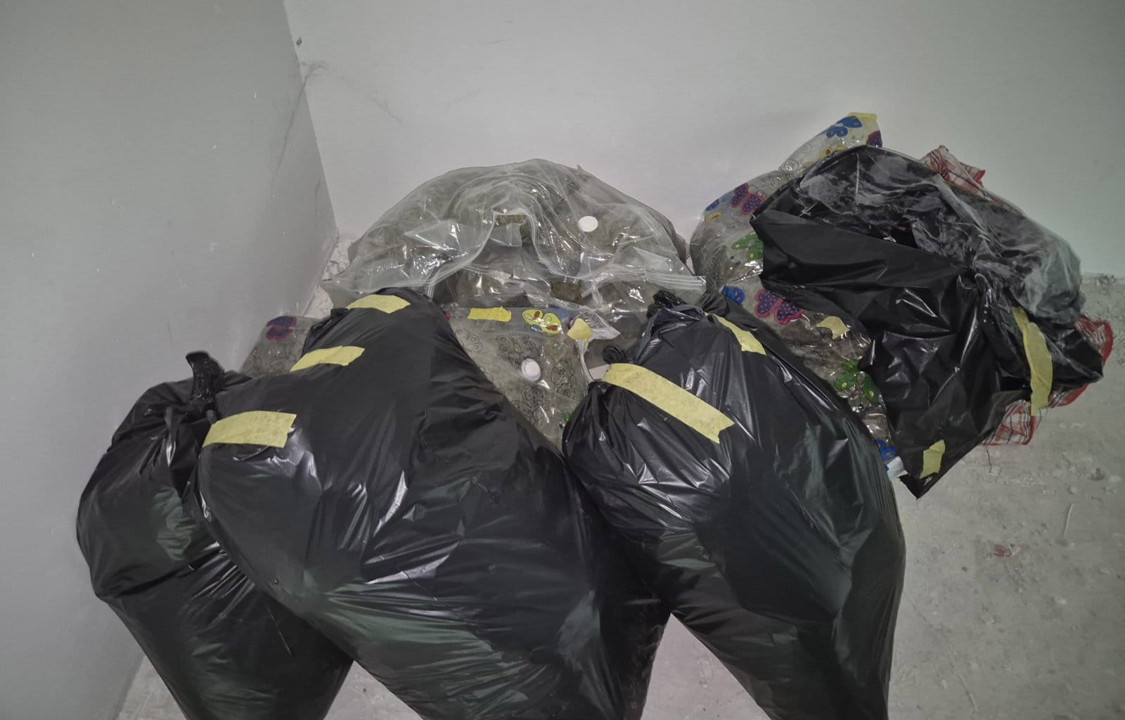 zaplena droge u novom sadu