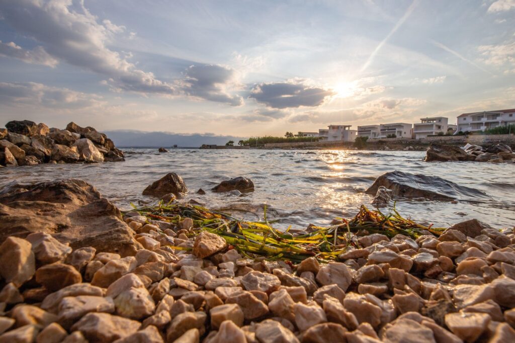 Image: 997707997, License: Rights-managed, Restrictions: , Model Release: no, Credit line: jan wehnert / Alamy / Profimedia