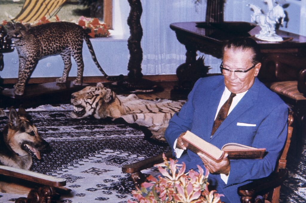 josip broz tito,Image: 485150884, License: Rights-managed, Restrictions: , Model Release: no, Credit line: - / Universal images group / Profimedia
