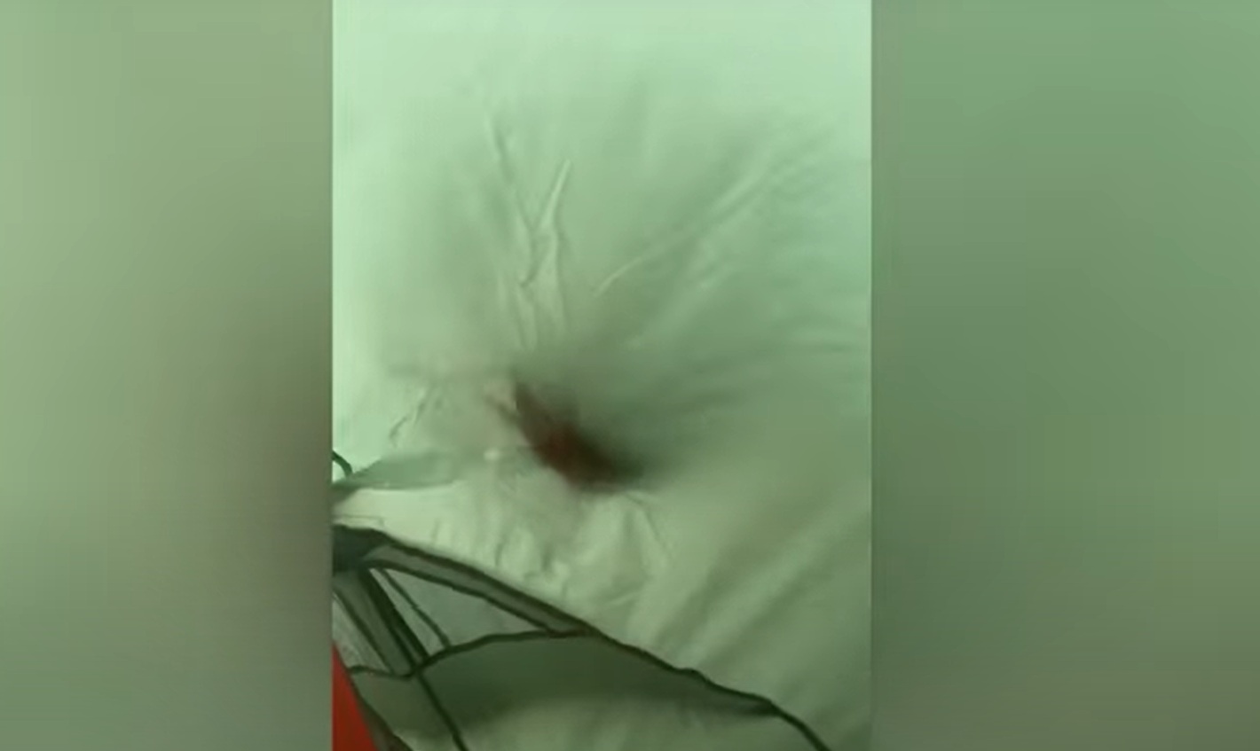 Jutro posle noćenja u šatoru