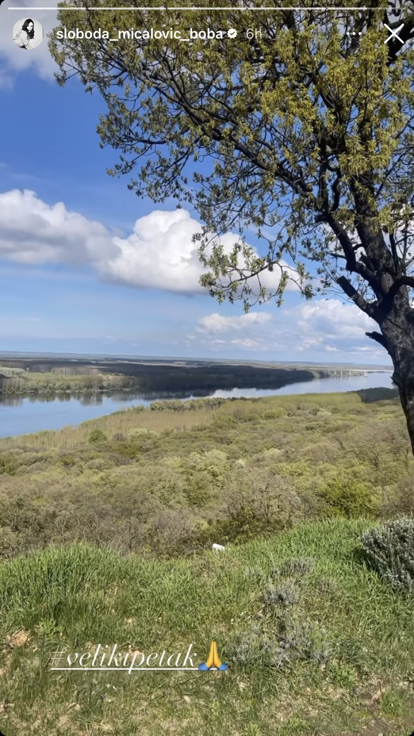 Sloboda Mićalović Foto: Instagram/sloboda_micalovic_boba