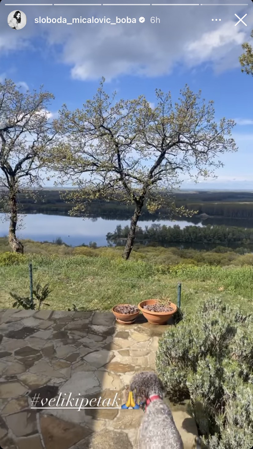 Sloboda Mićalović Foto: Instagram/sloboda_micalovic_boba