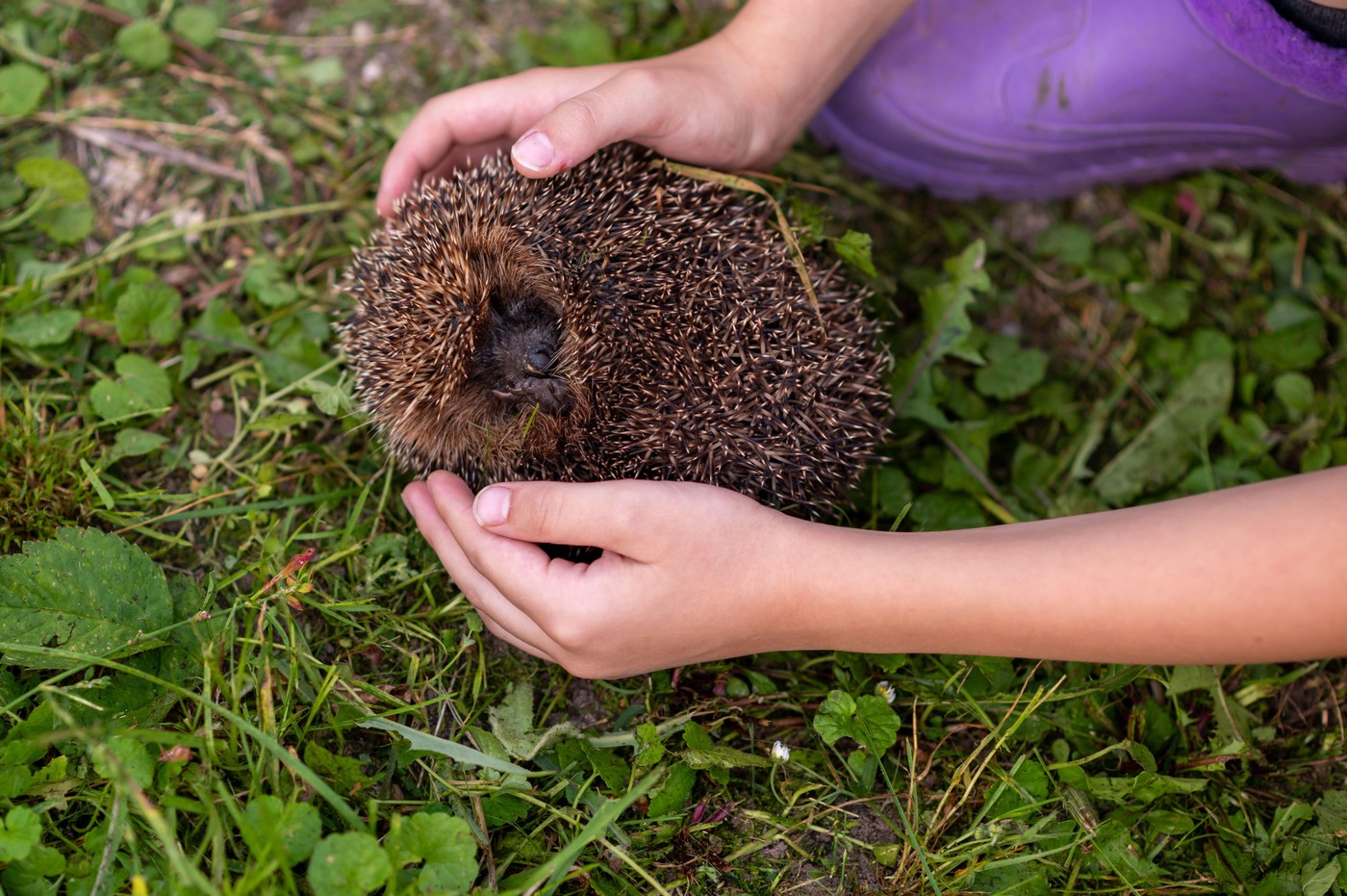 Image: 1036738424, License: Royalty-free, Restrictions: , Model Release: no, Credit line: Yana Kazakova / Alamy / Profimedia