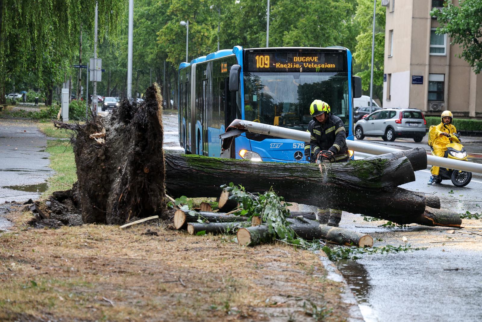 07.07.2025., Zagreb - U prijepodnevnim satima oluja je poharala Zagreb. Vatrogasci uklanjaju stablo koje je palo na cestu u Ulici svetog Mateja. Photo: Igor Kralj/PIXSELL