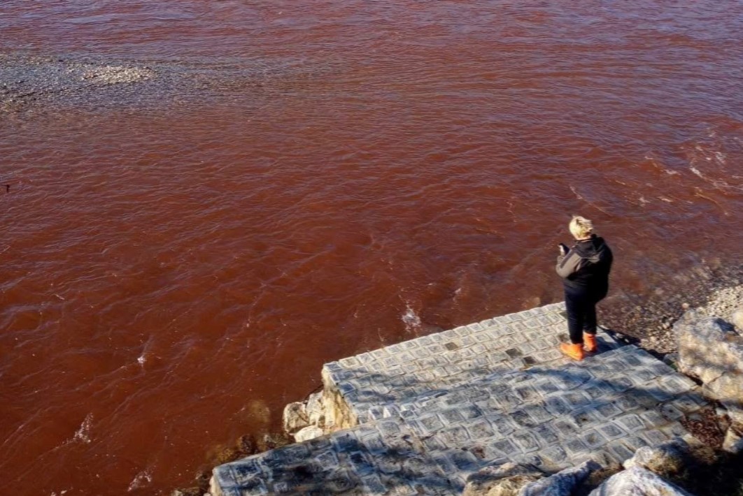 Drina je crvenа, imamo dozvolu kaže Jovan Mladenović