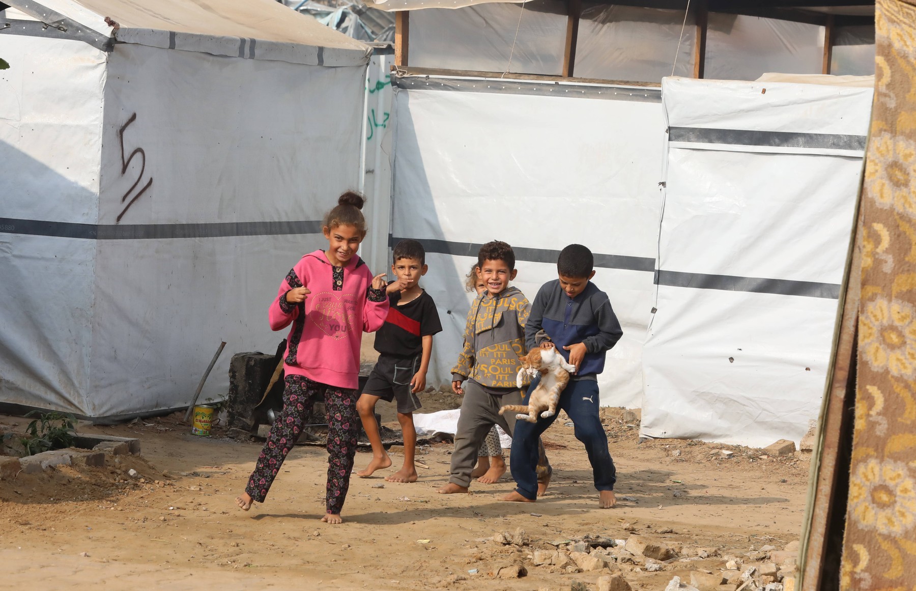 Displaced Palestinians who fled Israeli army operations, gather with their belongings in front of newly set up tents