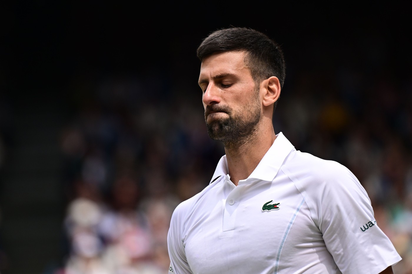 Novak Đoković