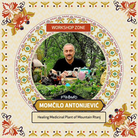 1753876562-MOMCILO-ANTONIJEVIC-Workshop-Zone.jpg