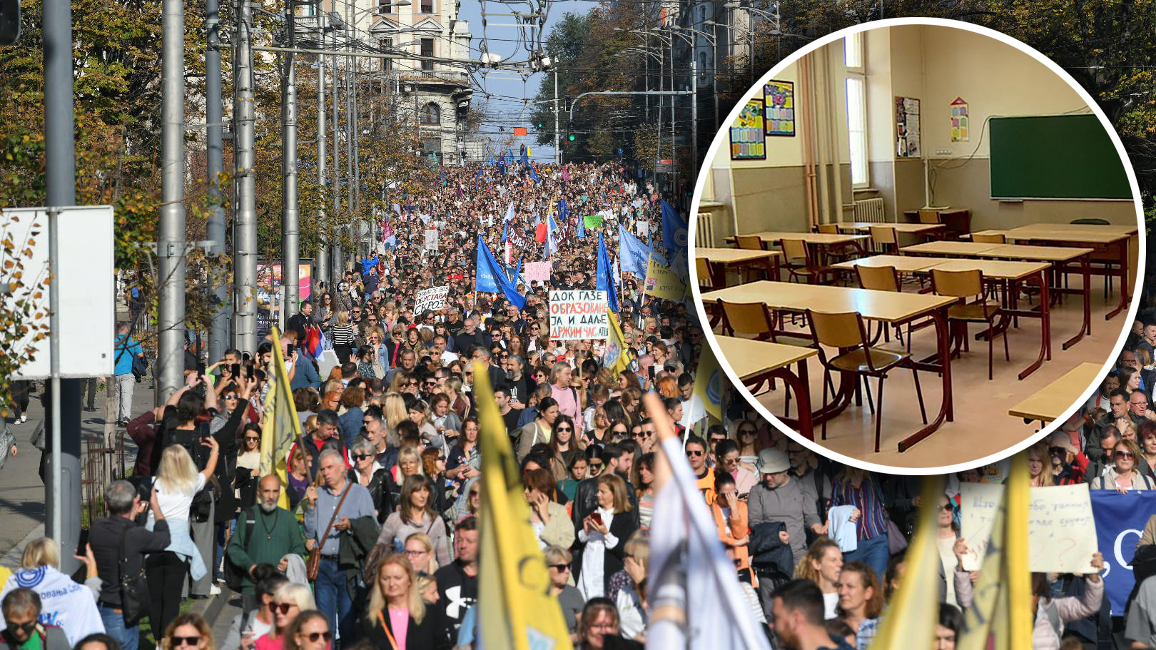 1730463187-HAM_9109a