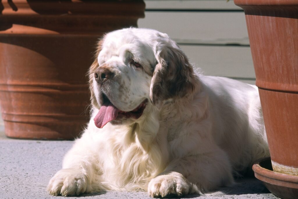 Image: 3316809, License: Rights-managed, Restrictions: , Model Release: no, Credit line: Dave Porter / Alamy / Profimedia