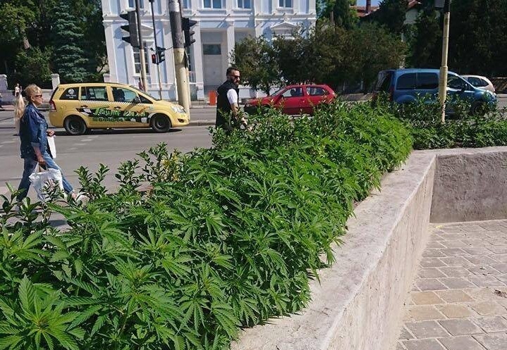 Scena iz Bugarske