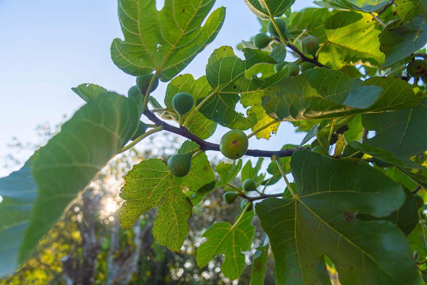 Image: 984218476, License: Royalty-free, Restrictions: , Model Release: no, Credit line: alex brondani / Alamy / Profimedia