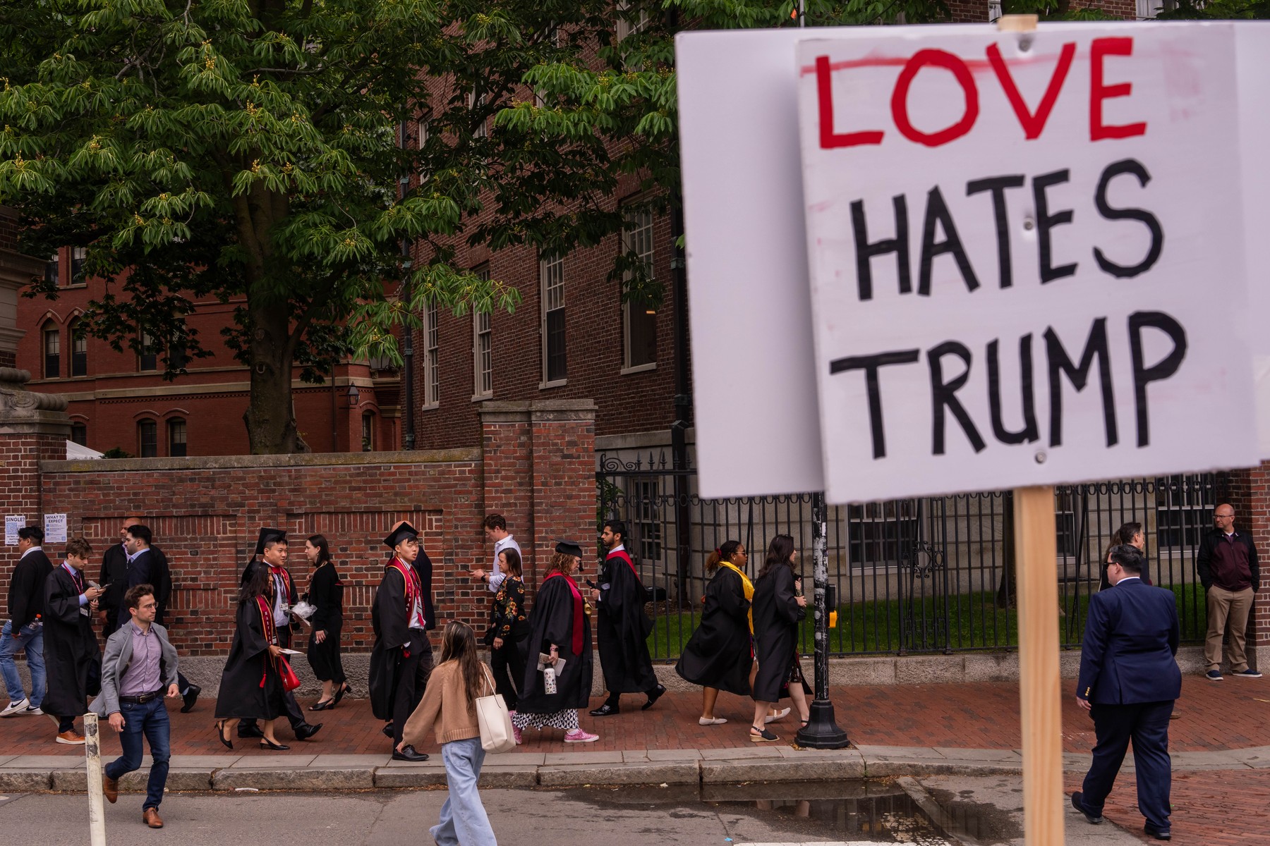 Harvard University Trump Commencement Protests