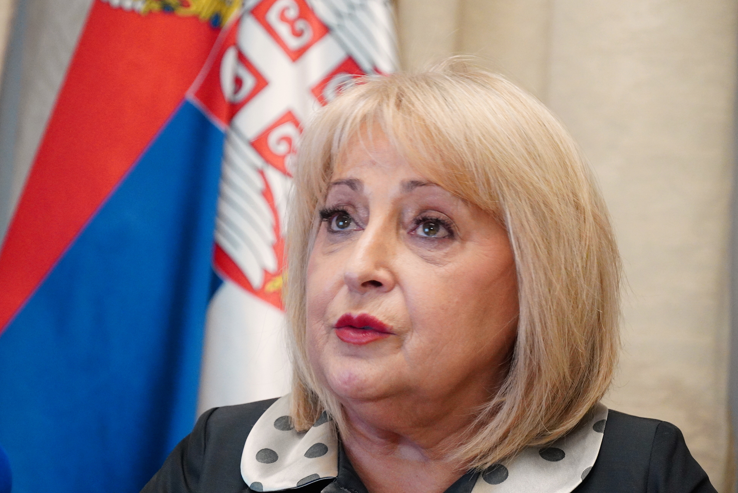 SLAVICA ĐUKIĆ DEJANOVIĆ