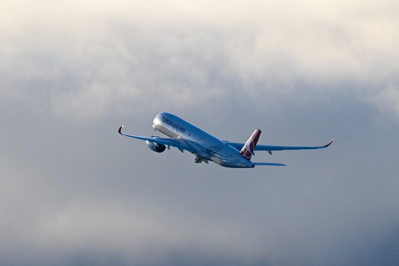 Turkish Airlines at San Francisco International Airport (SFO)