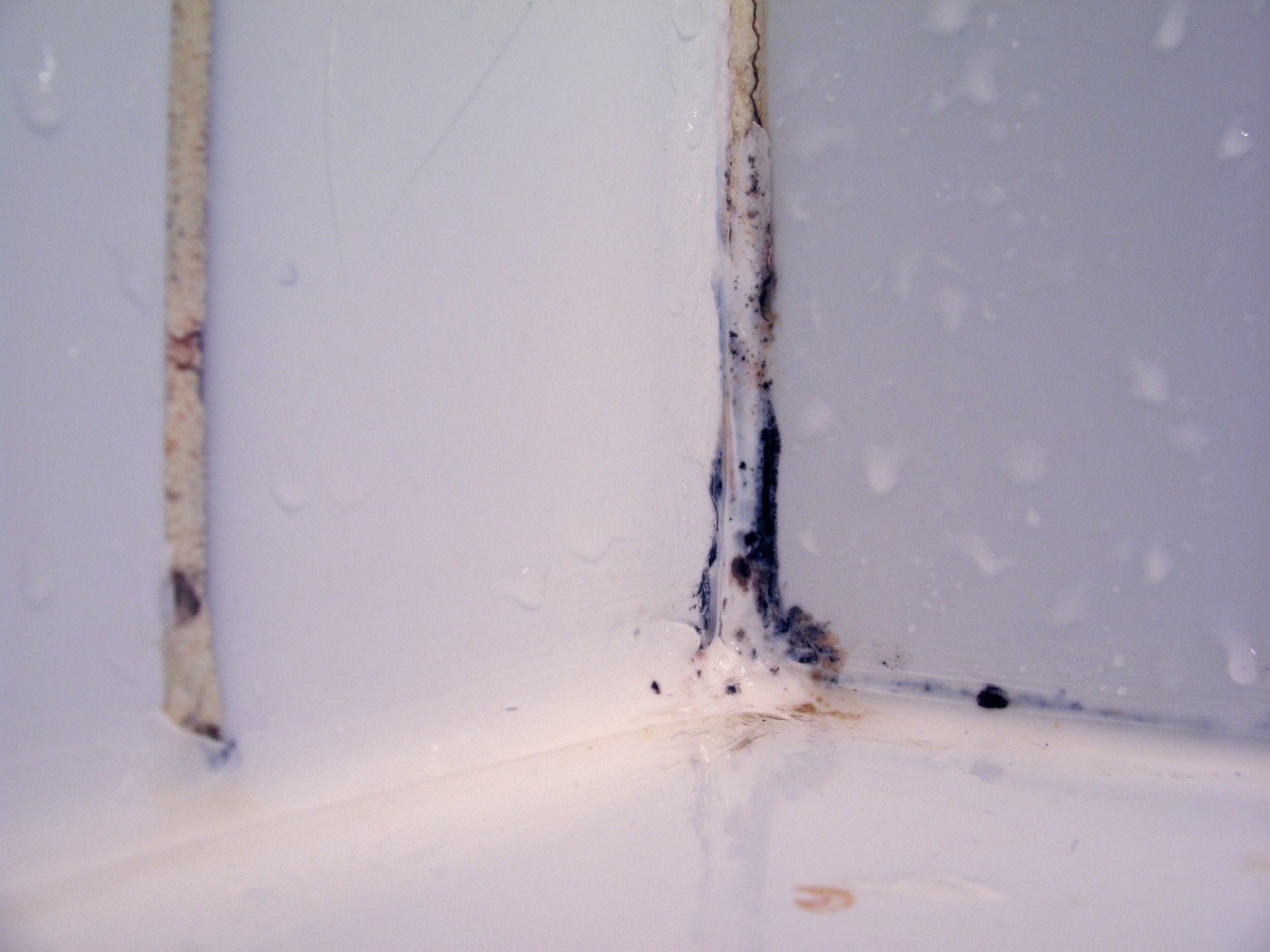 mould mold in a hotel bathroom in paris, france. 2007,Image: 11946769, License: Rights-managed, Restrictions: , Model Release: no, Credit line: uli nusko / Alamy / Profimedia