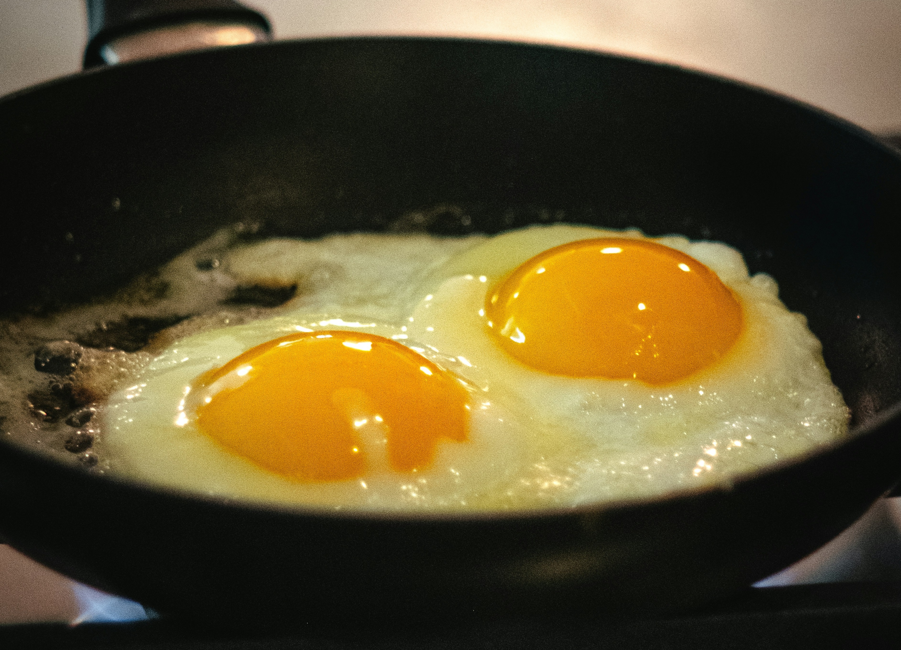 james-hoey-DfyauUxwboM-unsplash