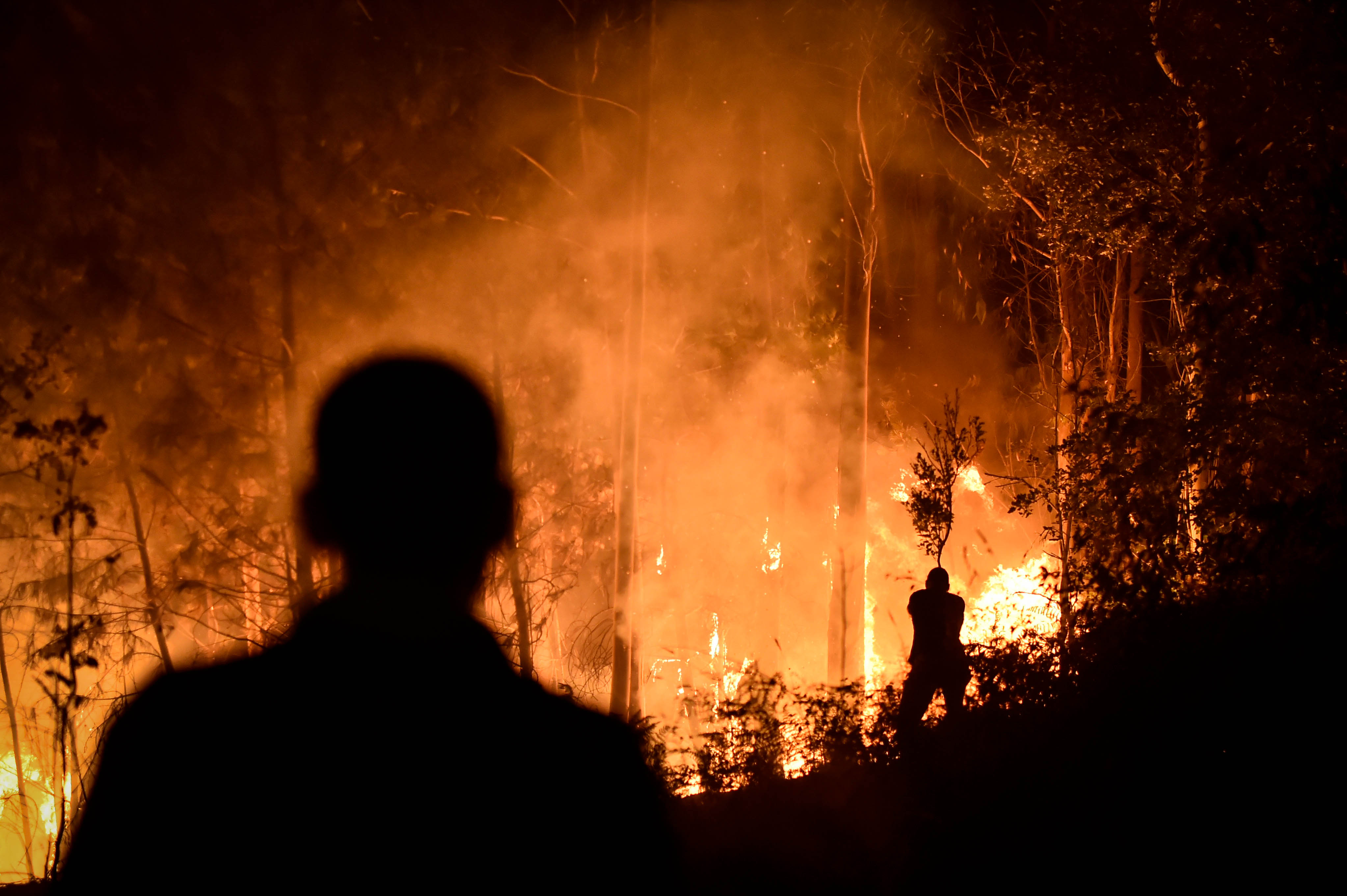 Wild fire in Leiria, Portugal
