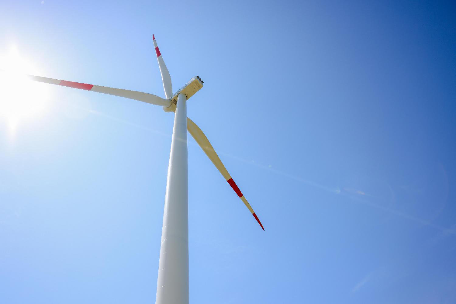 Dubravka_Djedovic_04_7315_b