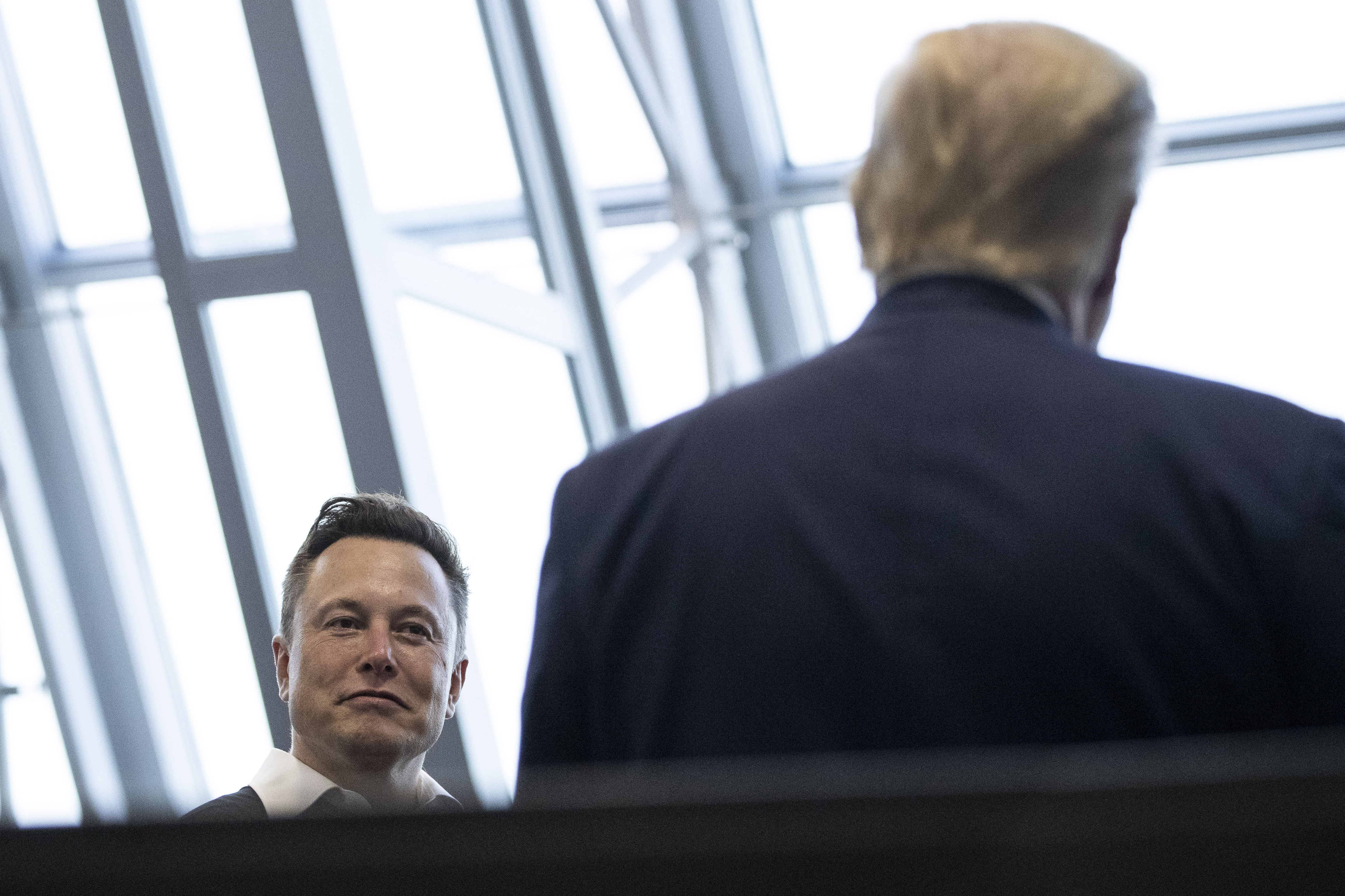 Donald Trump, Elon Musk