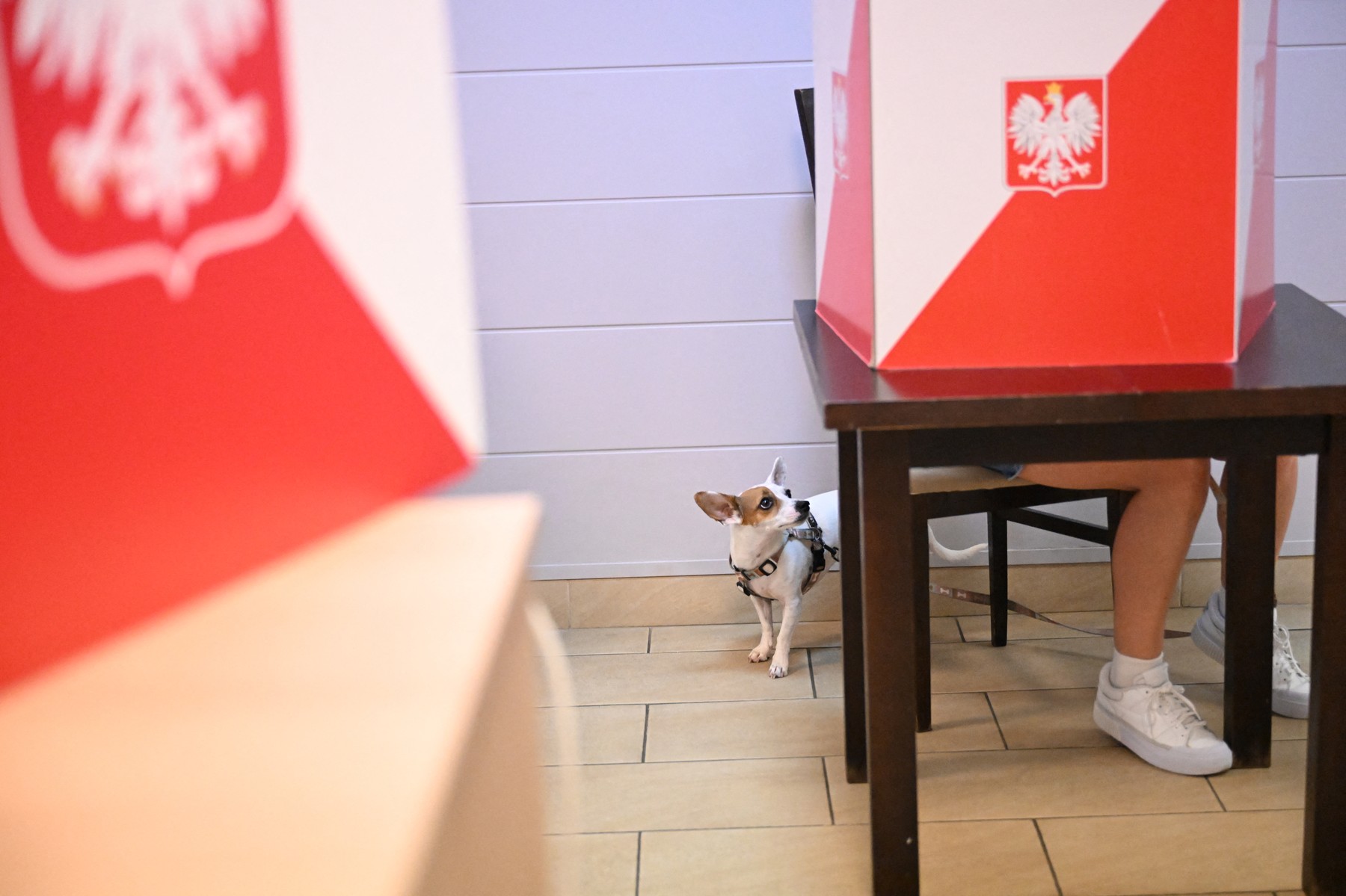 profimedia-1005861019