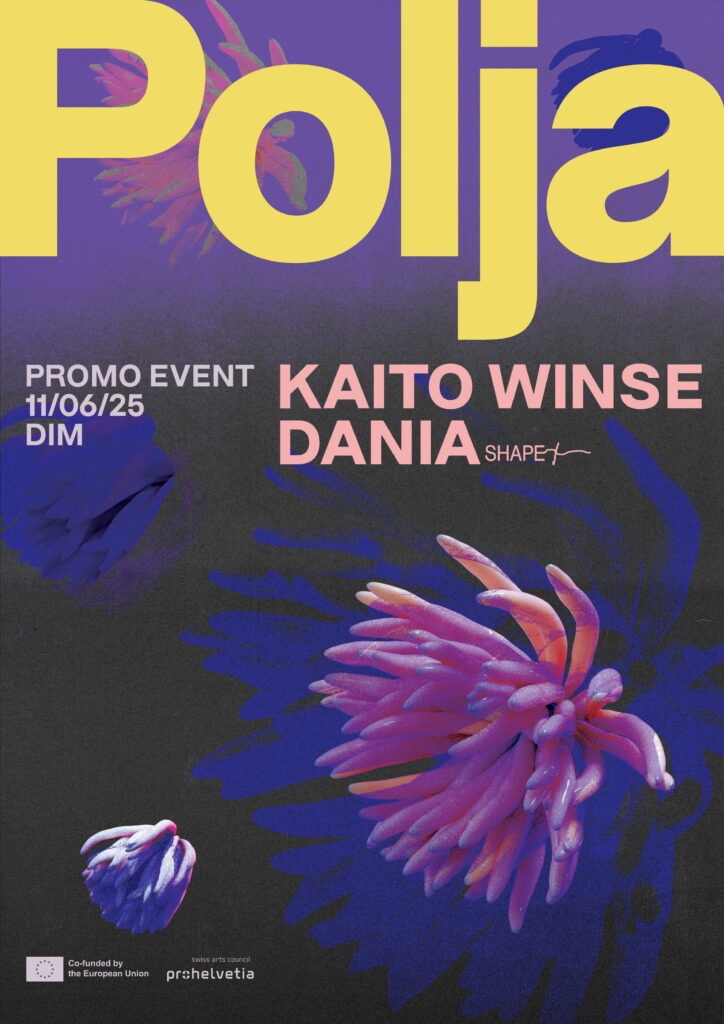 Polja Festival Promo Night, Kaito Winse Foto: Promo