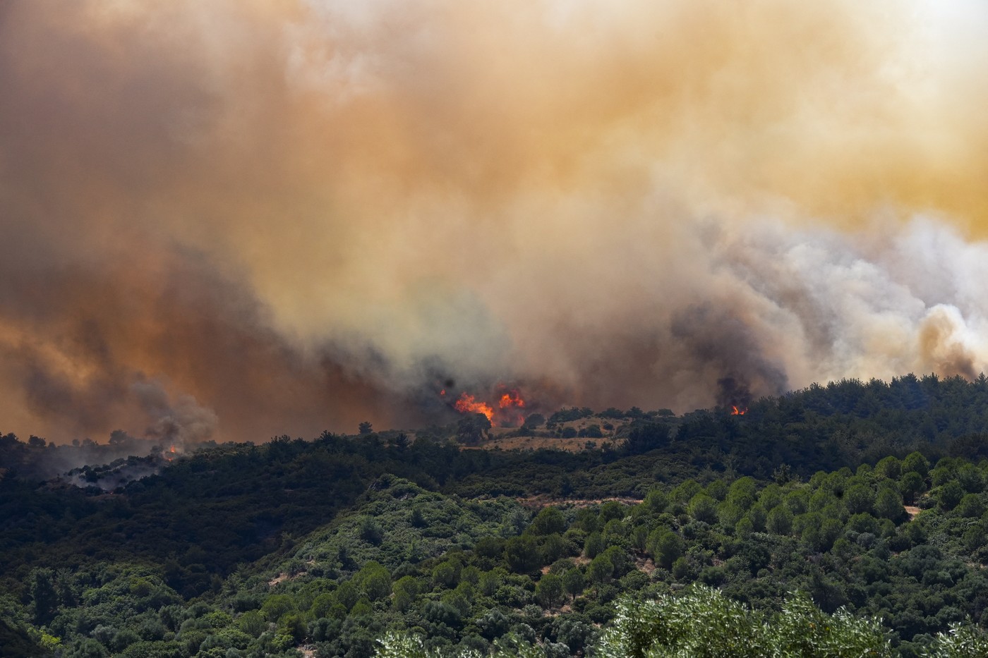 profimedia-1018087805