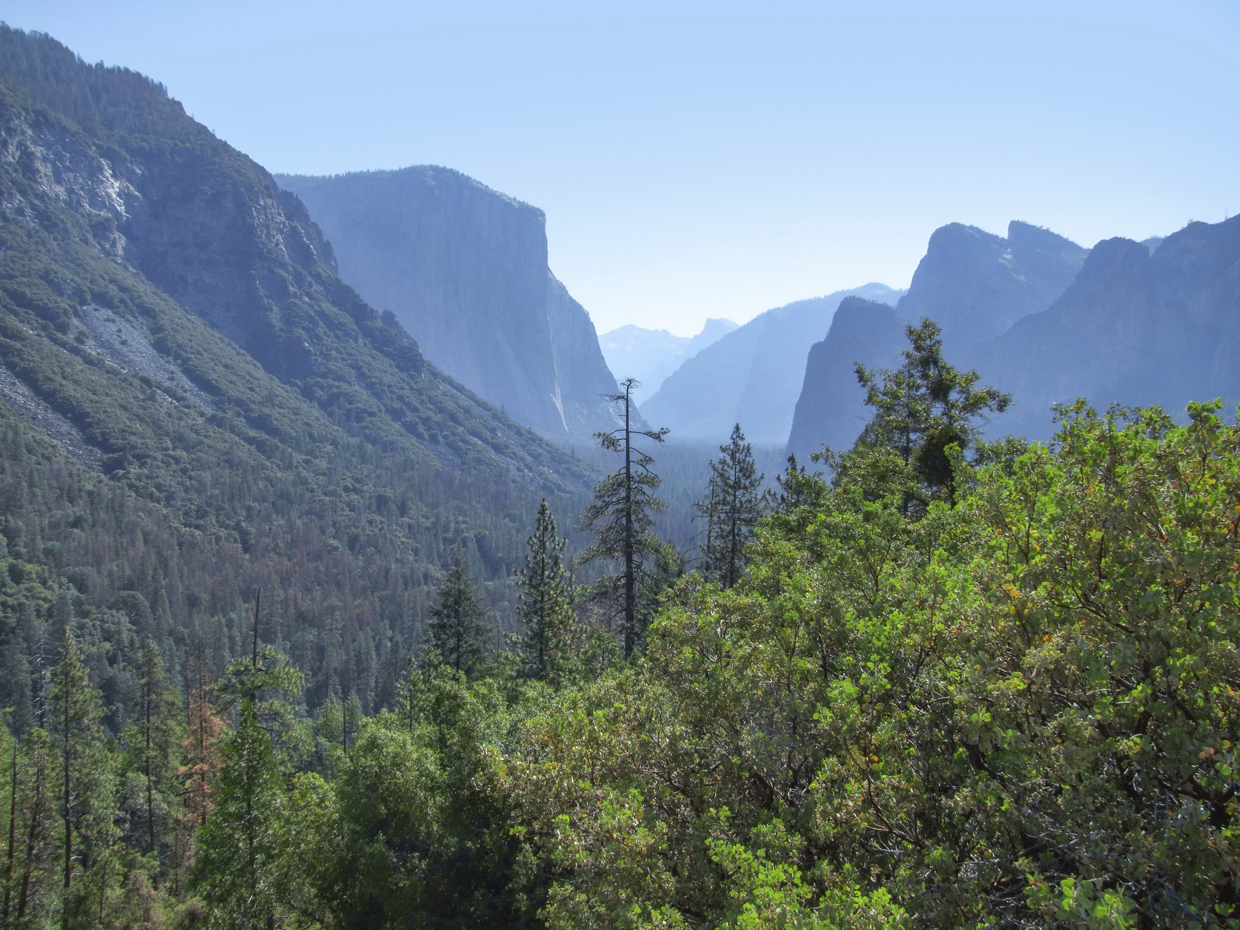 Idyllic panoramic view at the Yosemite National Park in California, USA,Image: 1041794855, License: Royalty-free, Restrictions: , Model Release: no, Credit line: Achim Prill / imageBROKER / Profimedia