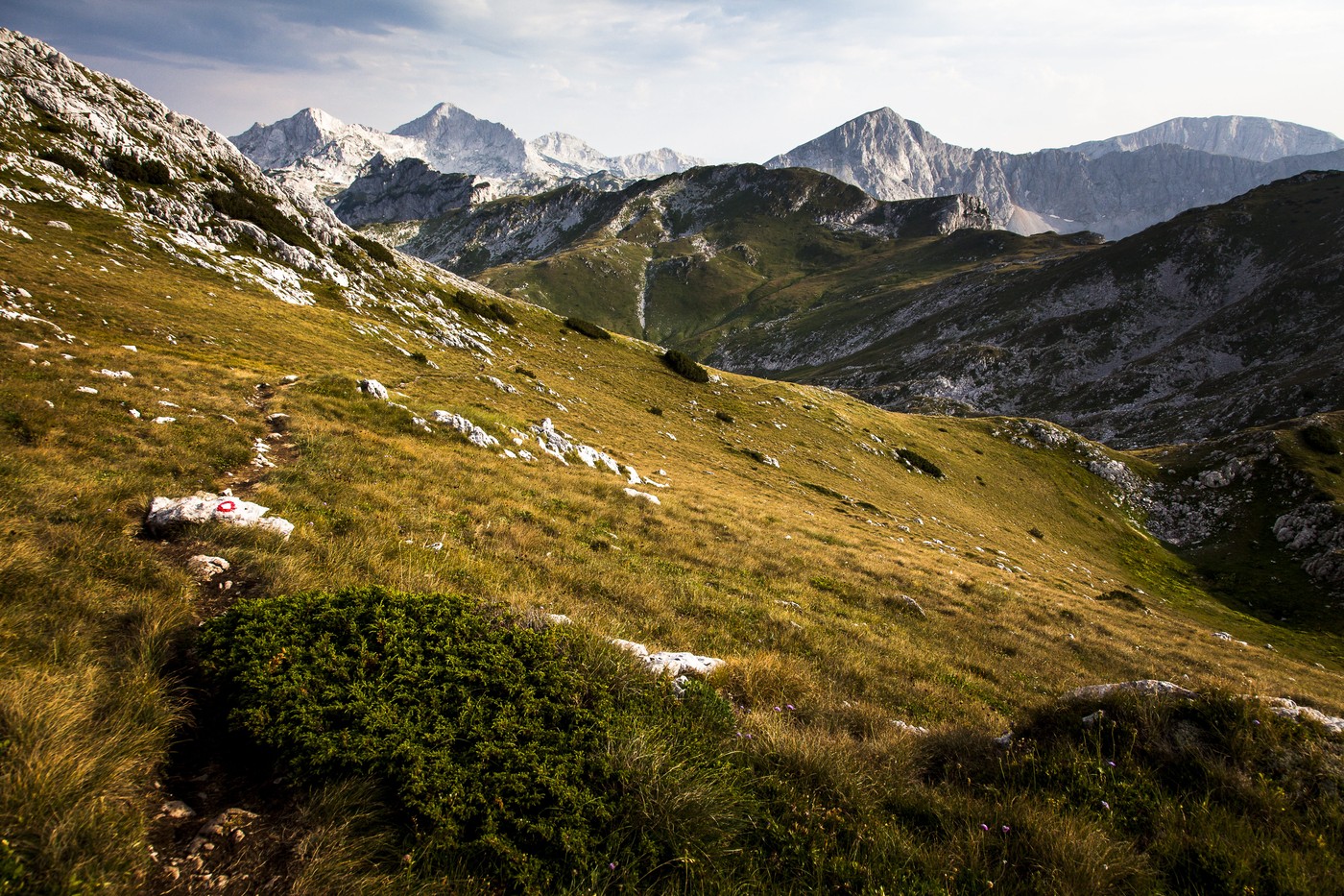 profimedia-0201056260