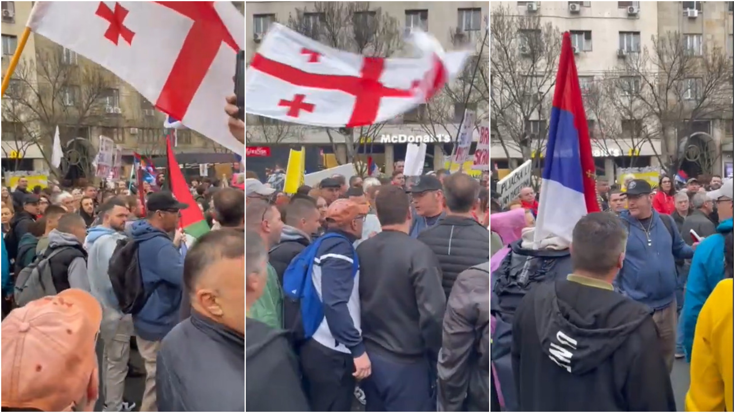 vladimir arsenijevic protest