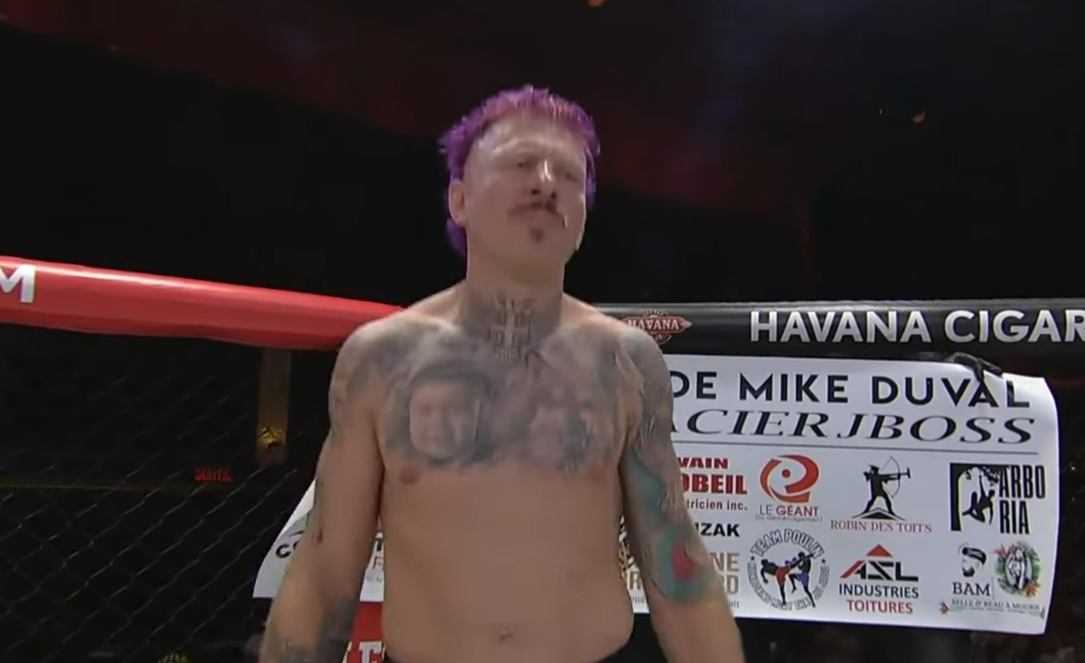 Strahinja Gavrilović MMA