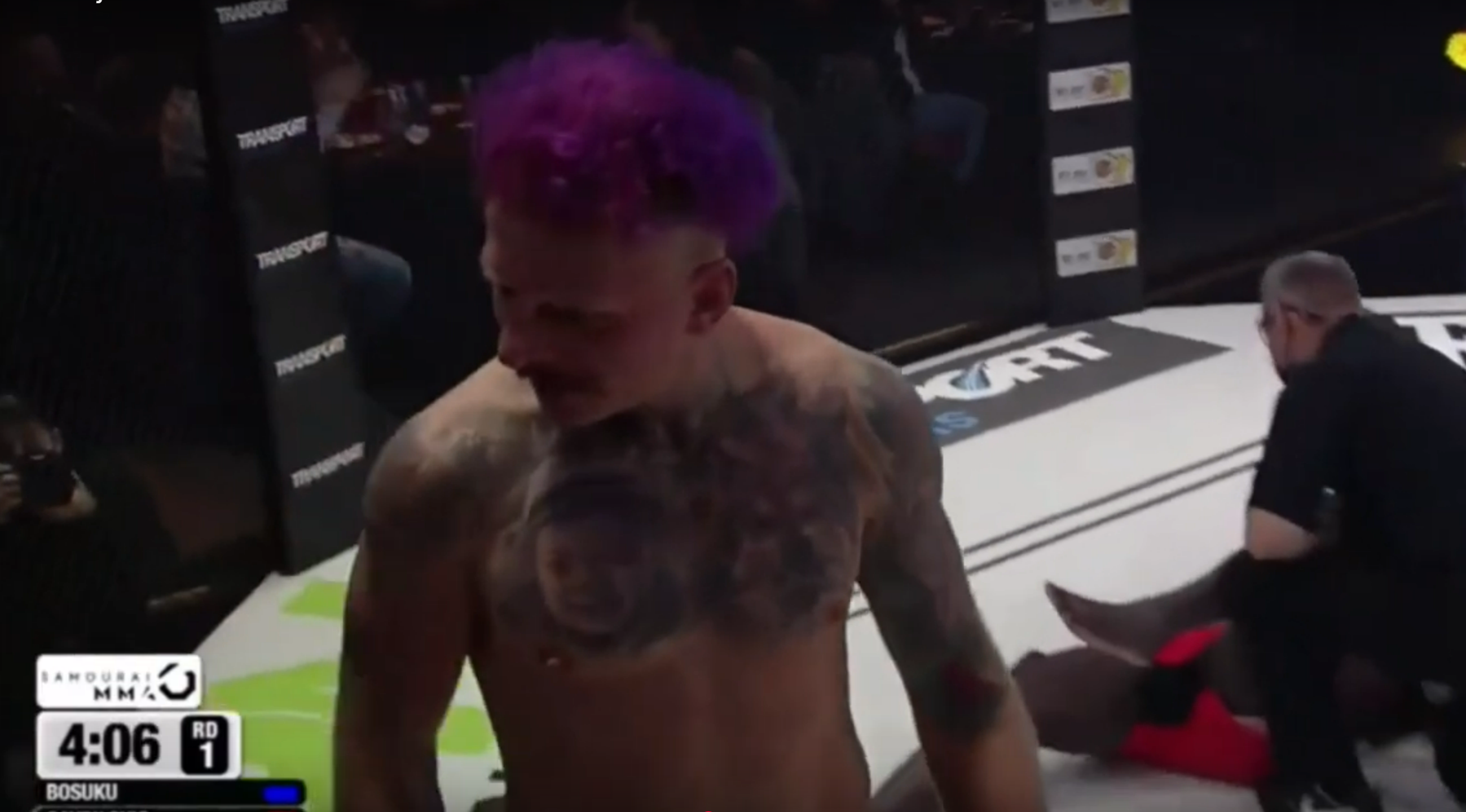 Strahinja Gavrilović MMA