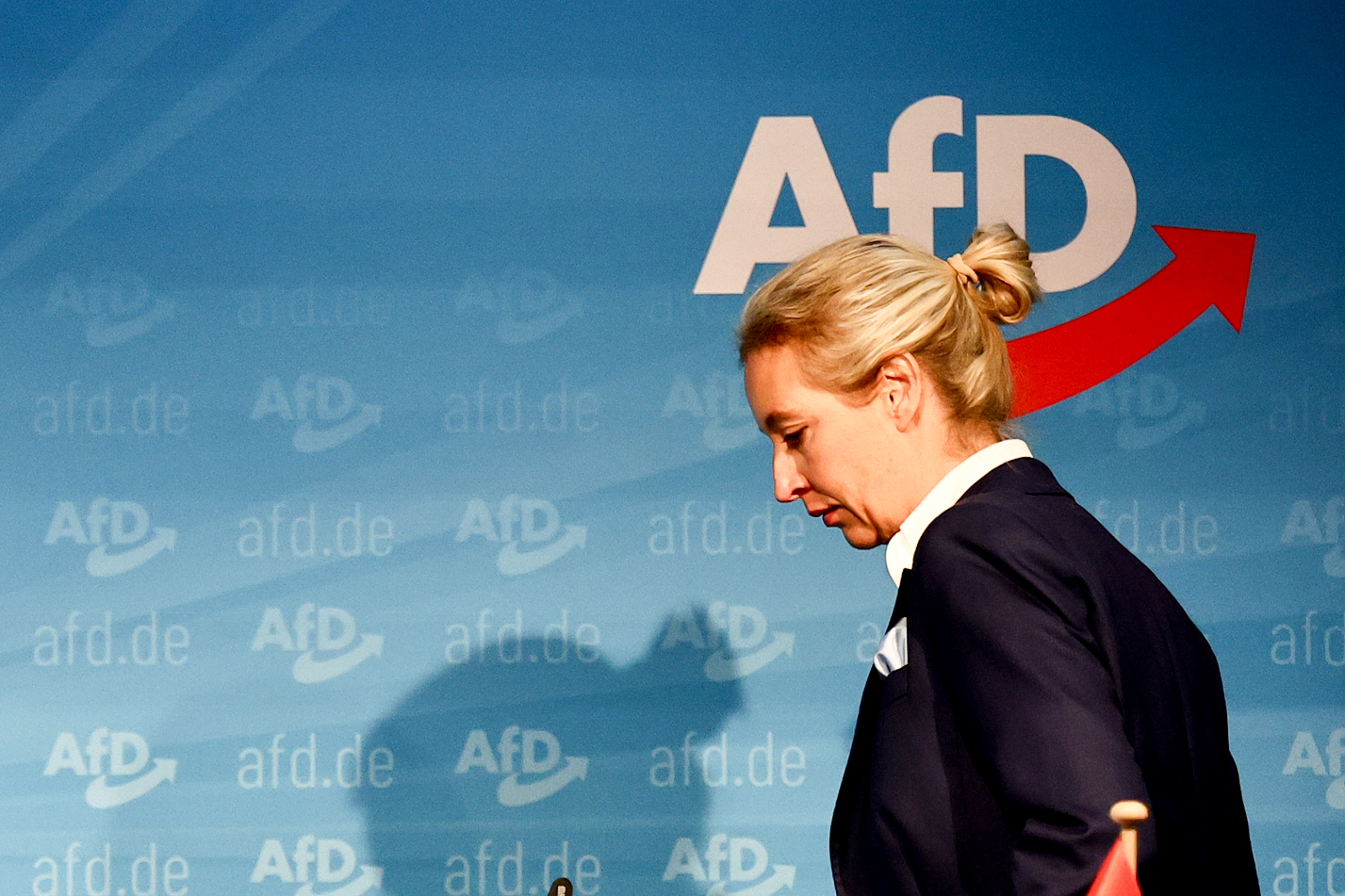 Reactions of AfD right-wing political party to results of the state elections in Brandenburg