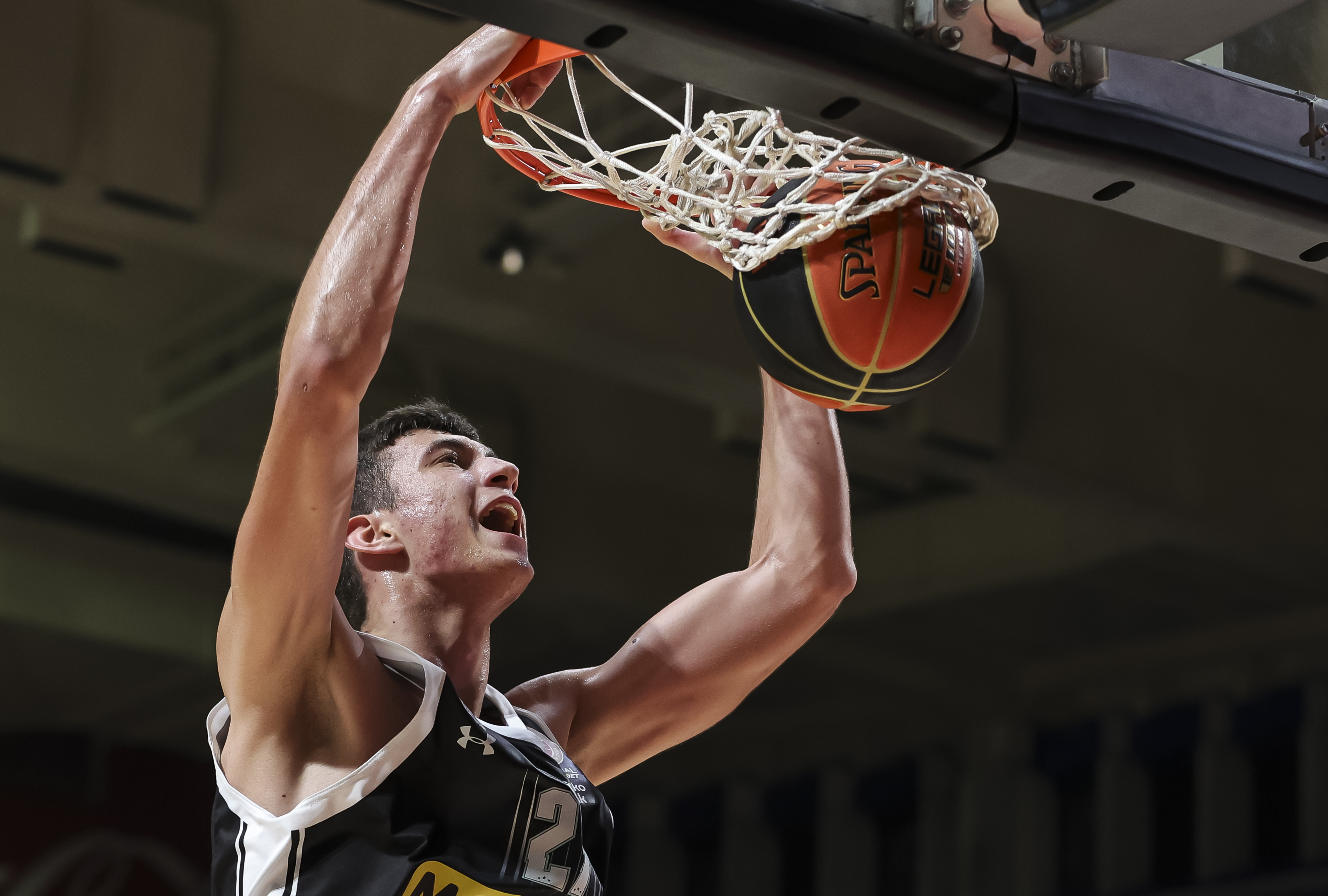 Aleksa Dimitrijević