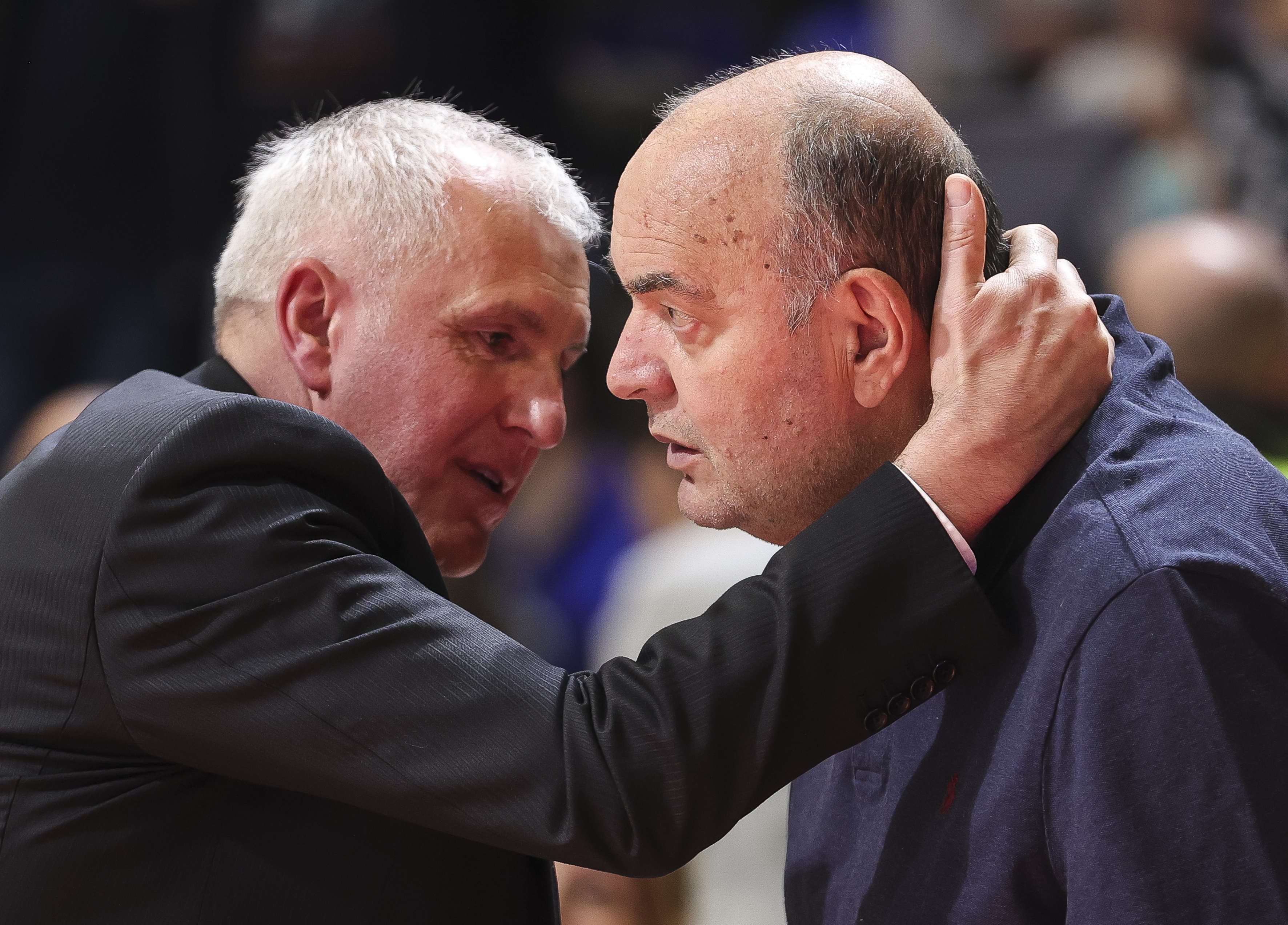 Partizan v Cibona-Aba League Season 2021-2022