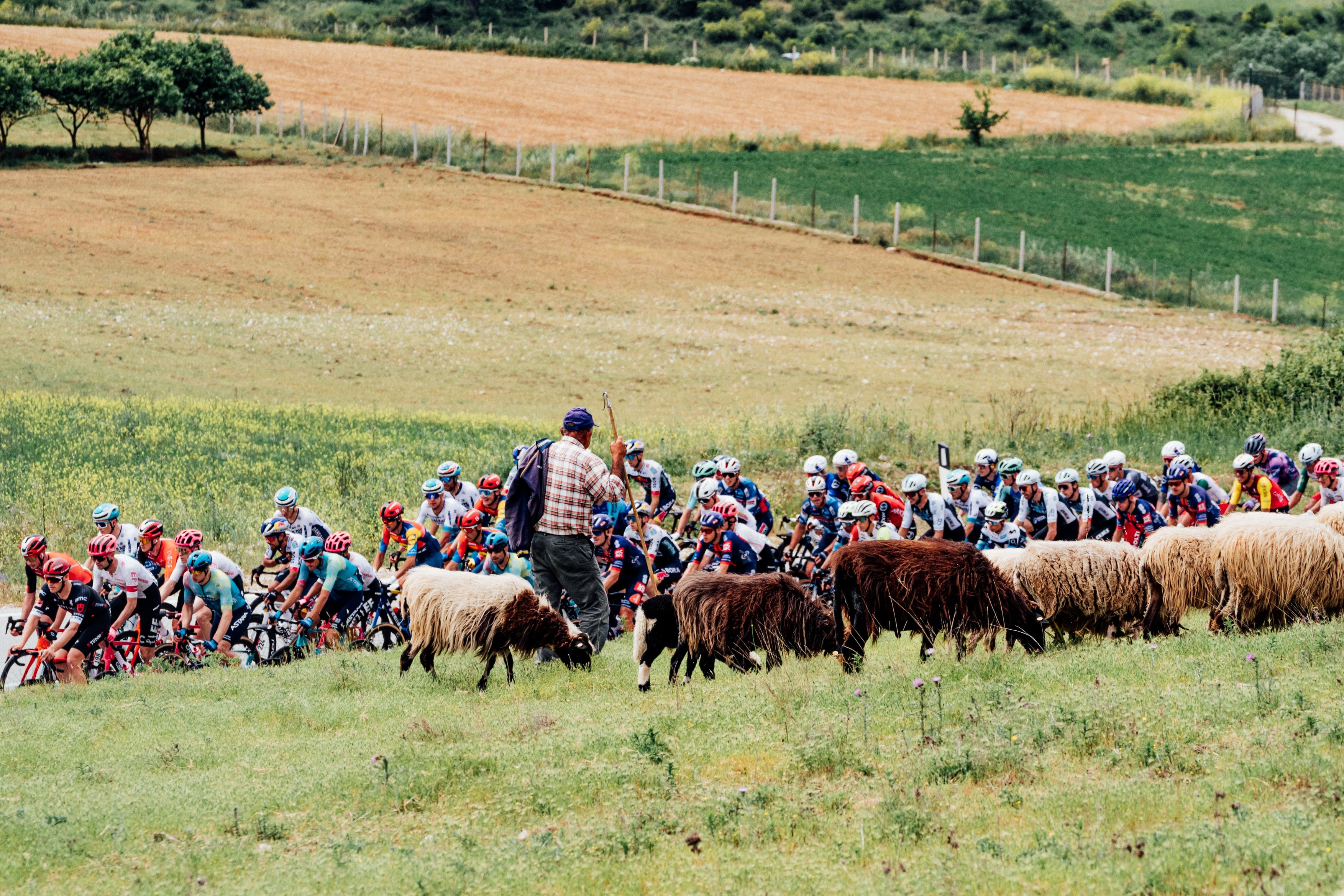 2025 Giro d'Italia Stage 3 - 11 May 2025
