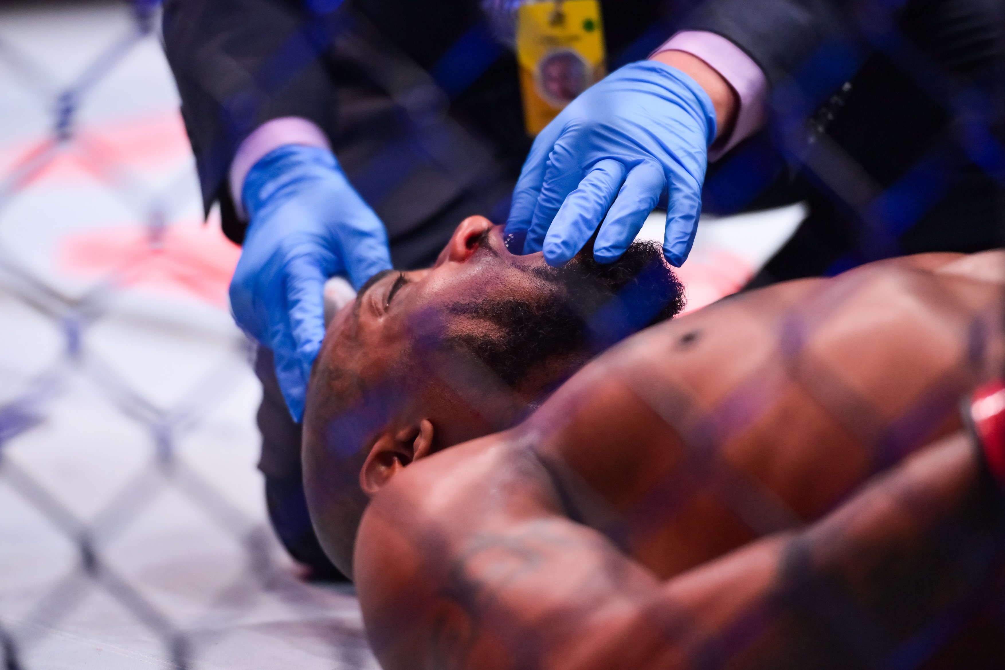 UFC 313: King Green vs Mauricio Ruffy: fight night