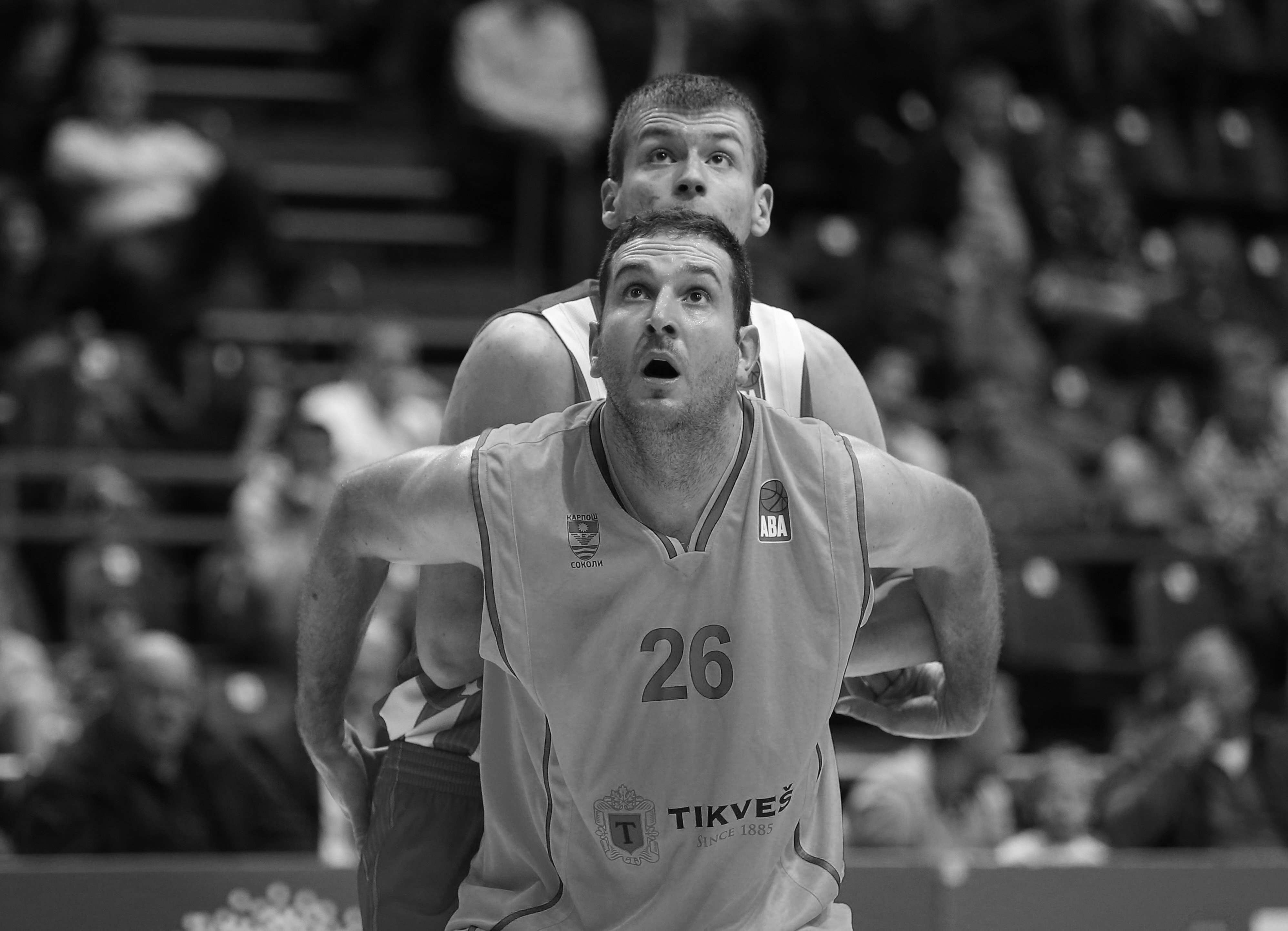 Kosarka ABA League season 2016-2017
Crvena Zvezda v Karpos Sokoli (Skoplje)
Dragan Labovic and Borisa Simanic (BEHIND)
Beograd, 21.11.2016
foto: Srdjan Stevanovic/Starsportphoto©