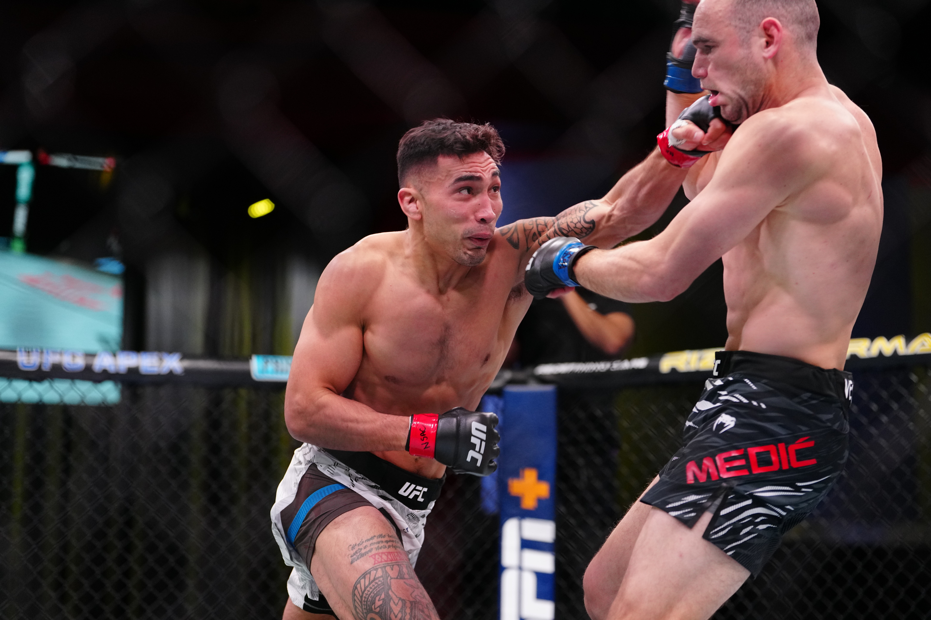 UFC Fight Night - Dern vs Ribas 2