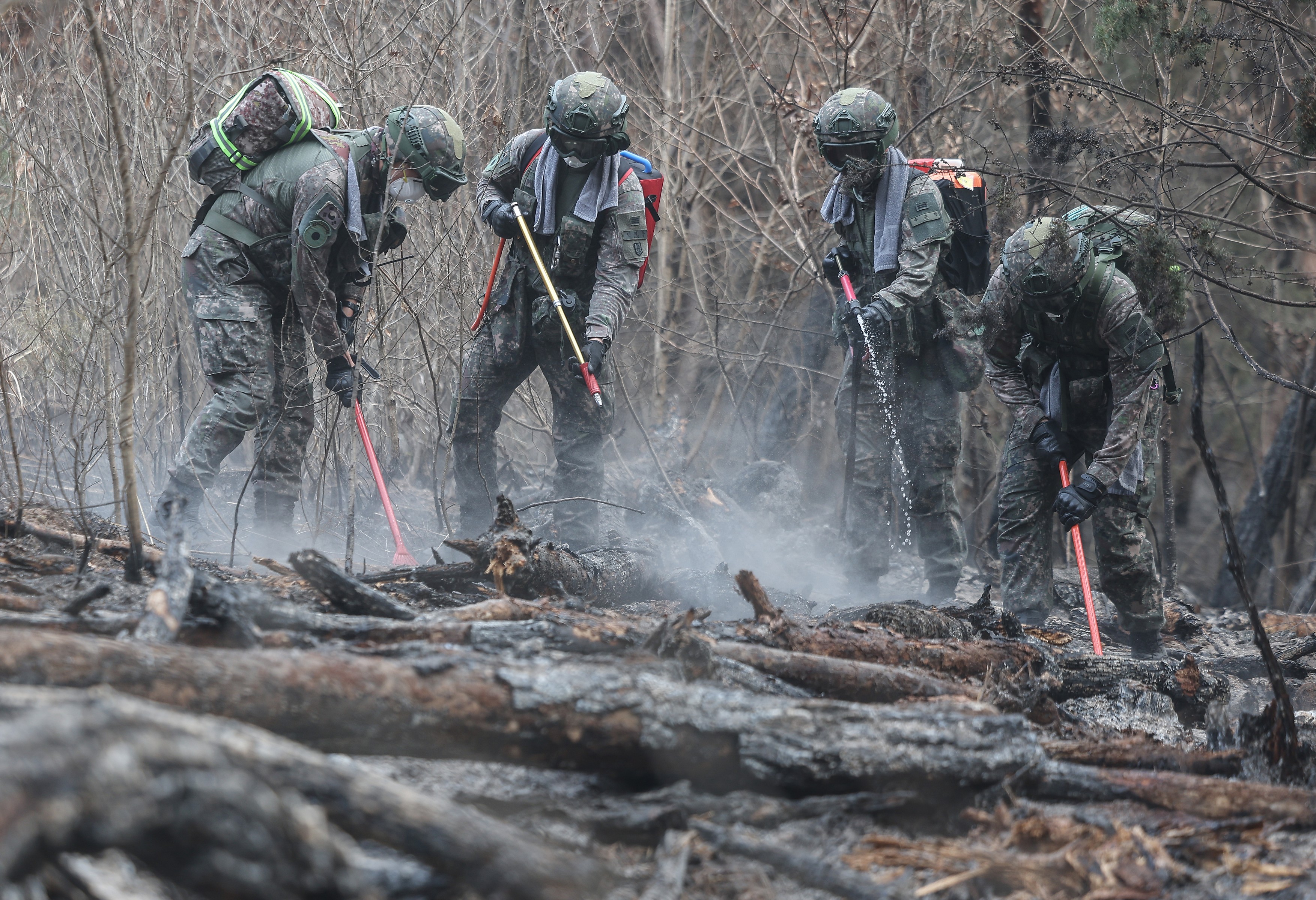 Wildfire in southeastern region