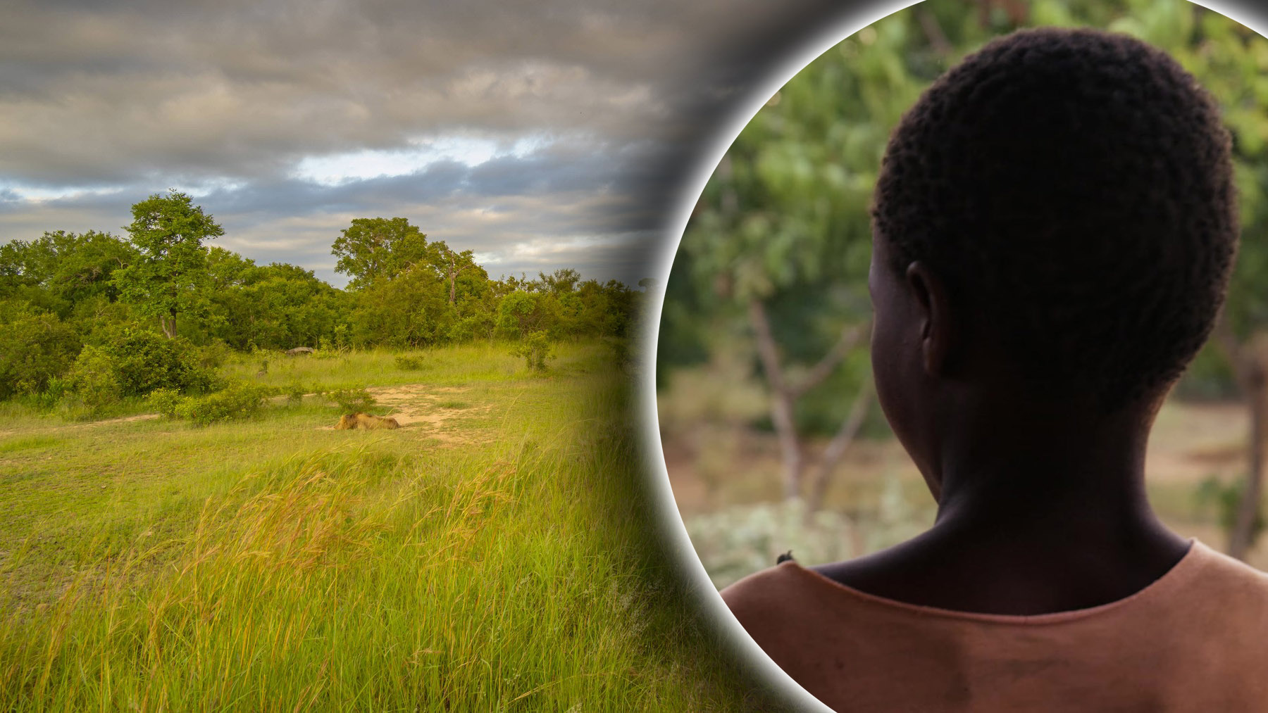 Dete, dečak, izgubio se, nađen, park sa lavovima i slonovima, kombo Ilustracija: IMAGO / imago stock&amp;people / Profimedia/Shutterstock