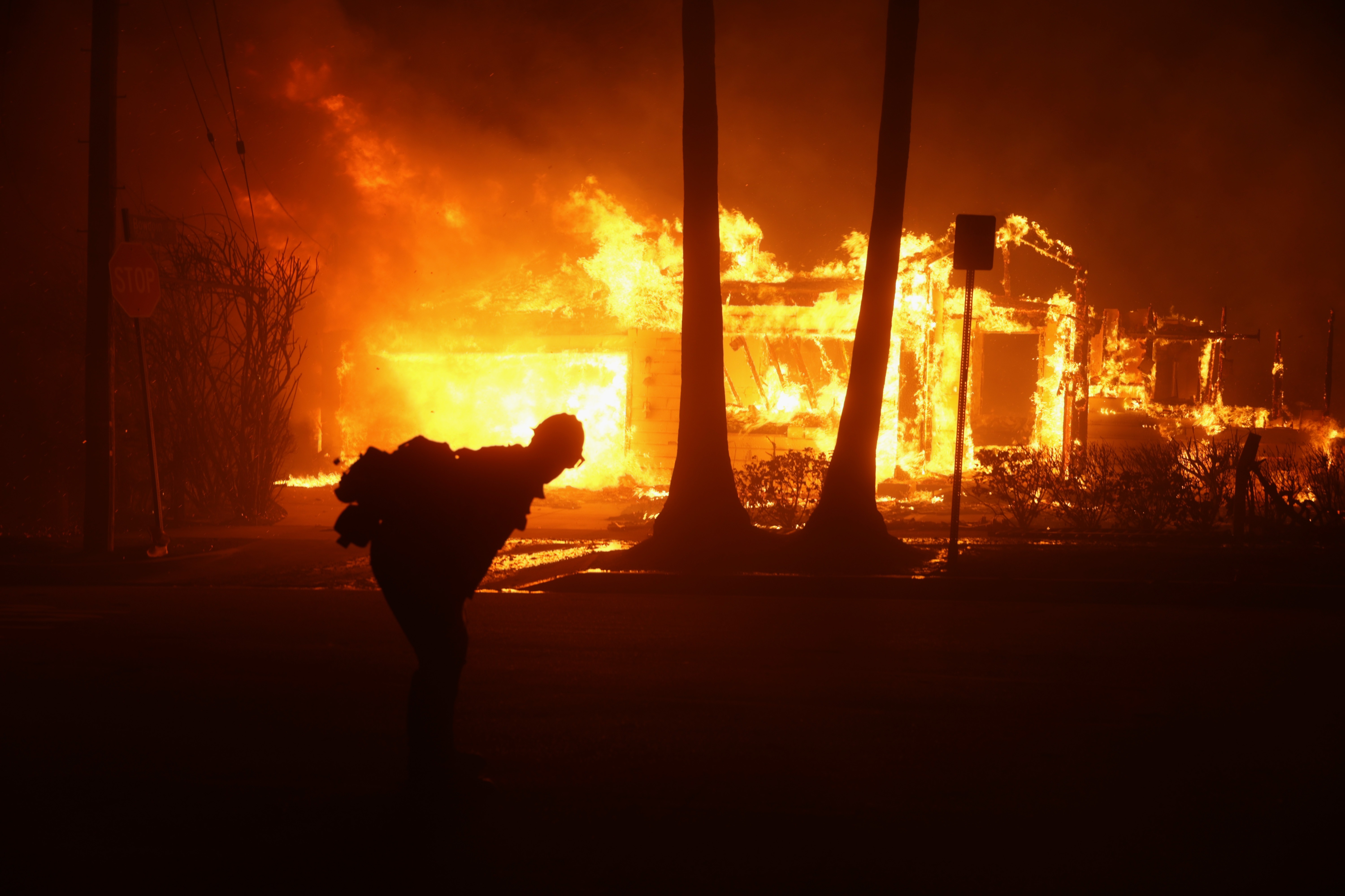 Palisades Wildfire in Los Angeles, California