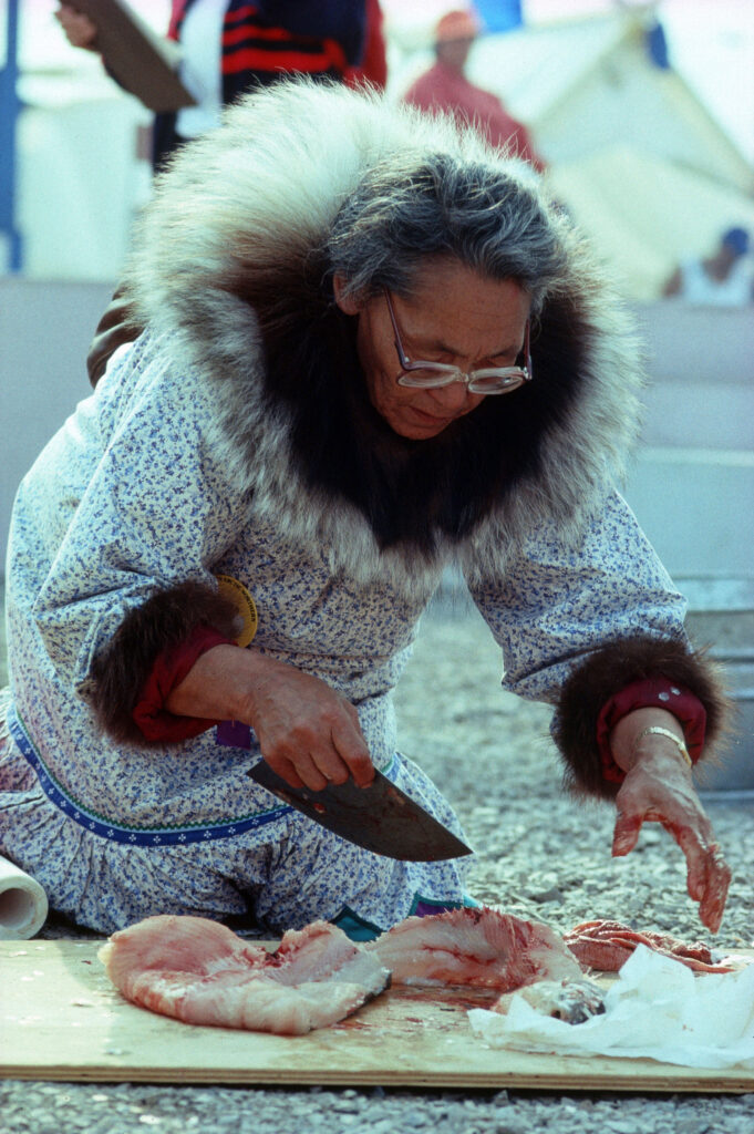 Inuit woman filleting fish, Eskimo Olympics, Inuvik, Canada, North America,Image: 943896351, License: Rights-managed, Restrictions: , Model Release: no, Credit line: L. Weyers / imageBROKER / Profimedia