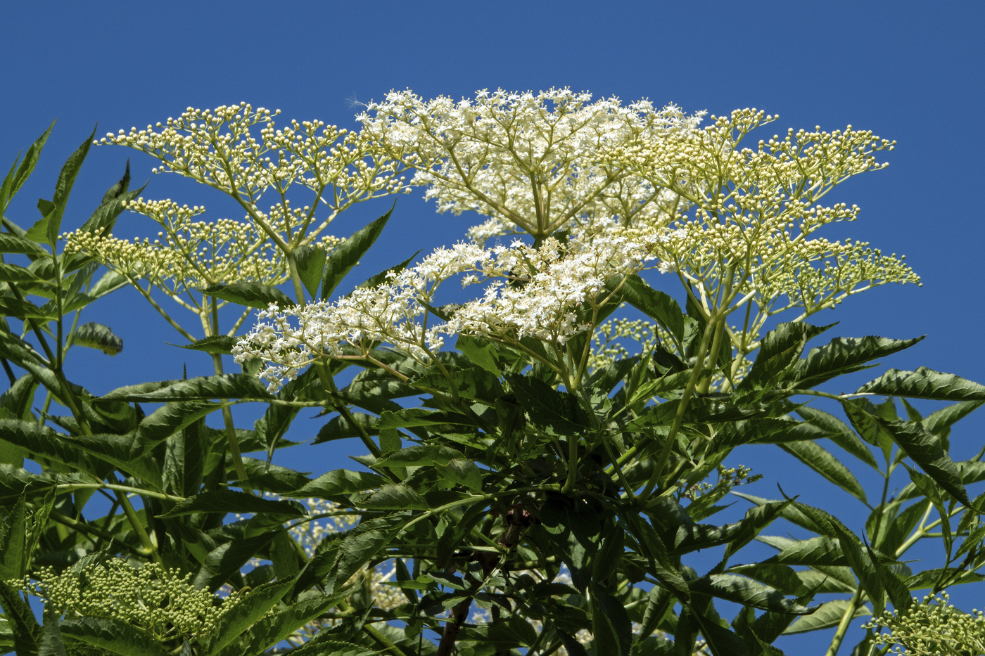 profimedia-0999218644