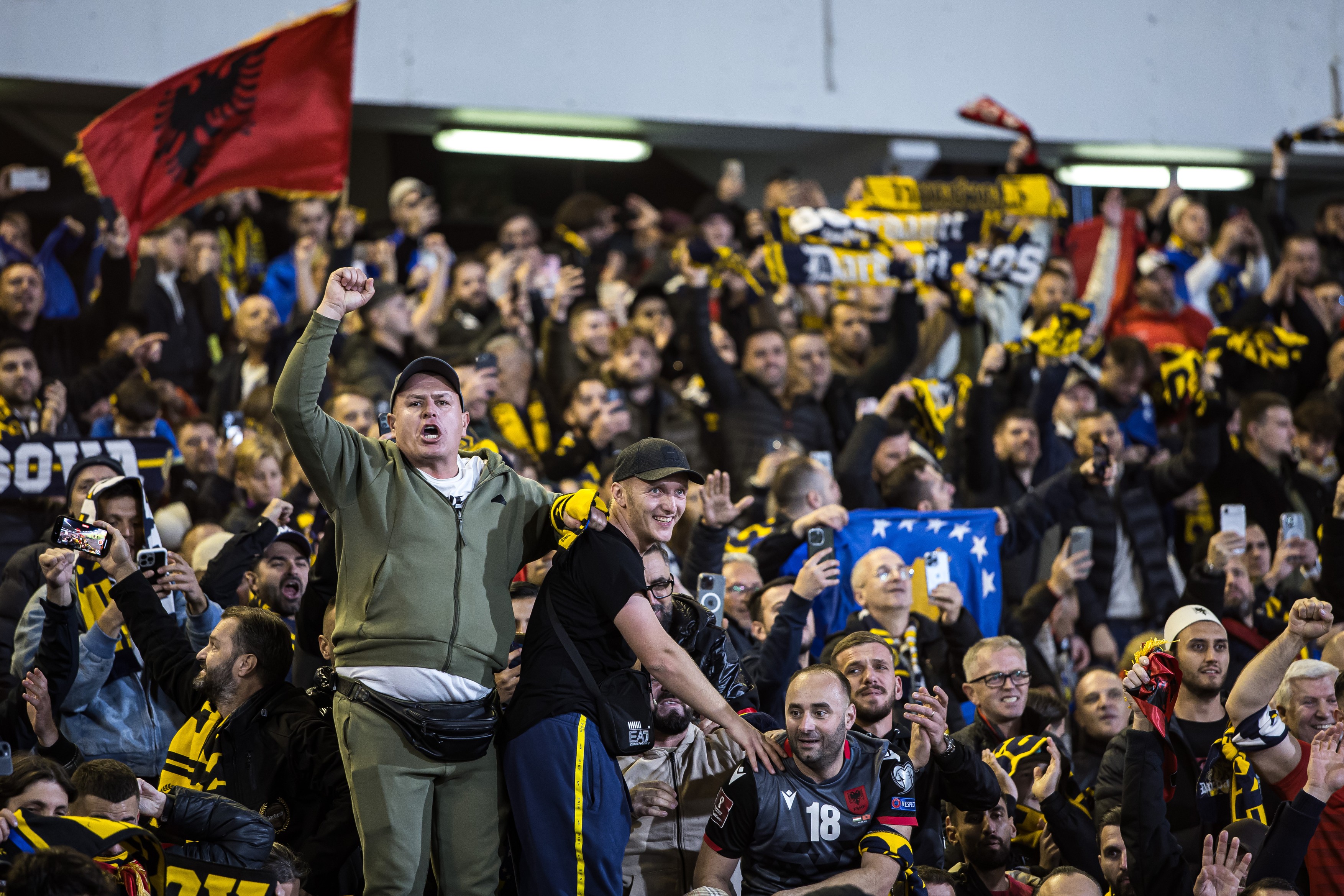 Football, World Cup Qualifier, Sweden - Kosovo